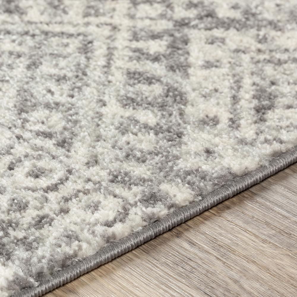 Surya ELZ2357-2776 rugs - View #4