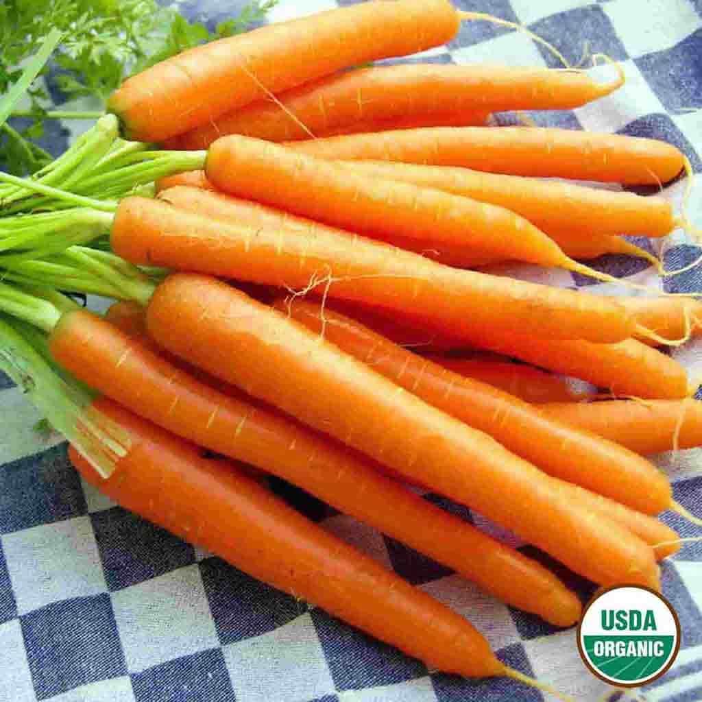 Ferry-Morse LC25.0812 Vegetable-Herb-Seeds - View #3