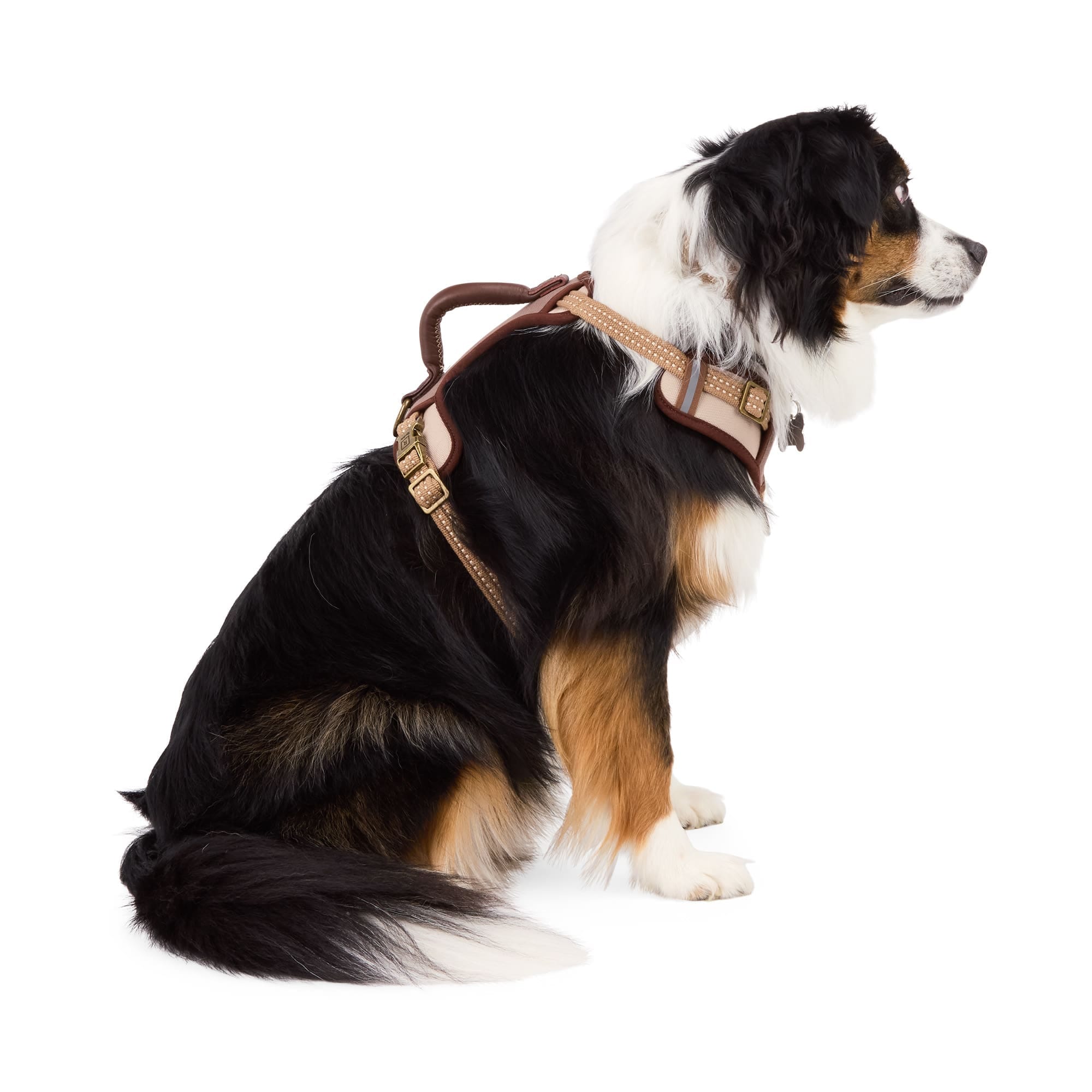 Reddy RDQ306L Dog-Collars-Harnesses - View #2