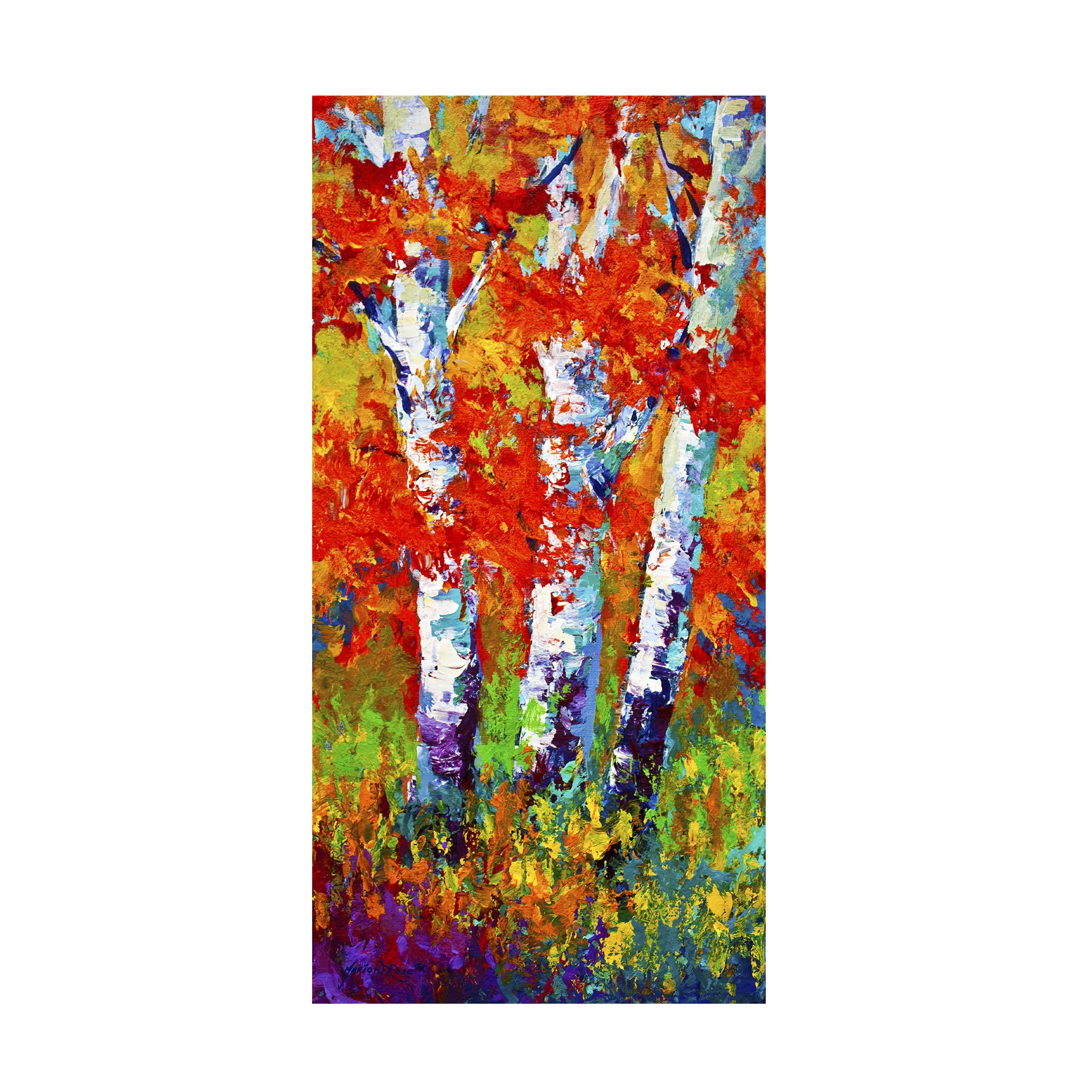 Trademark Fine Art - Marion Rose 'Birch Three' Canvas Art