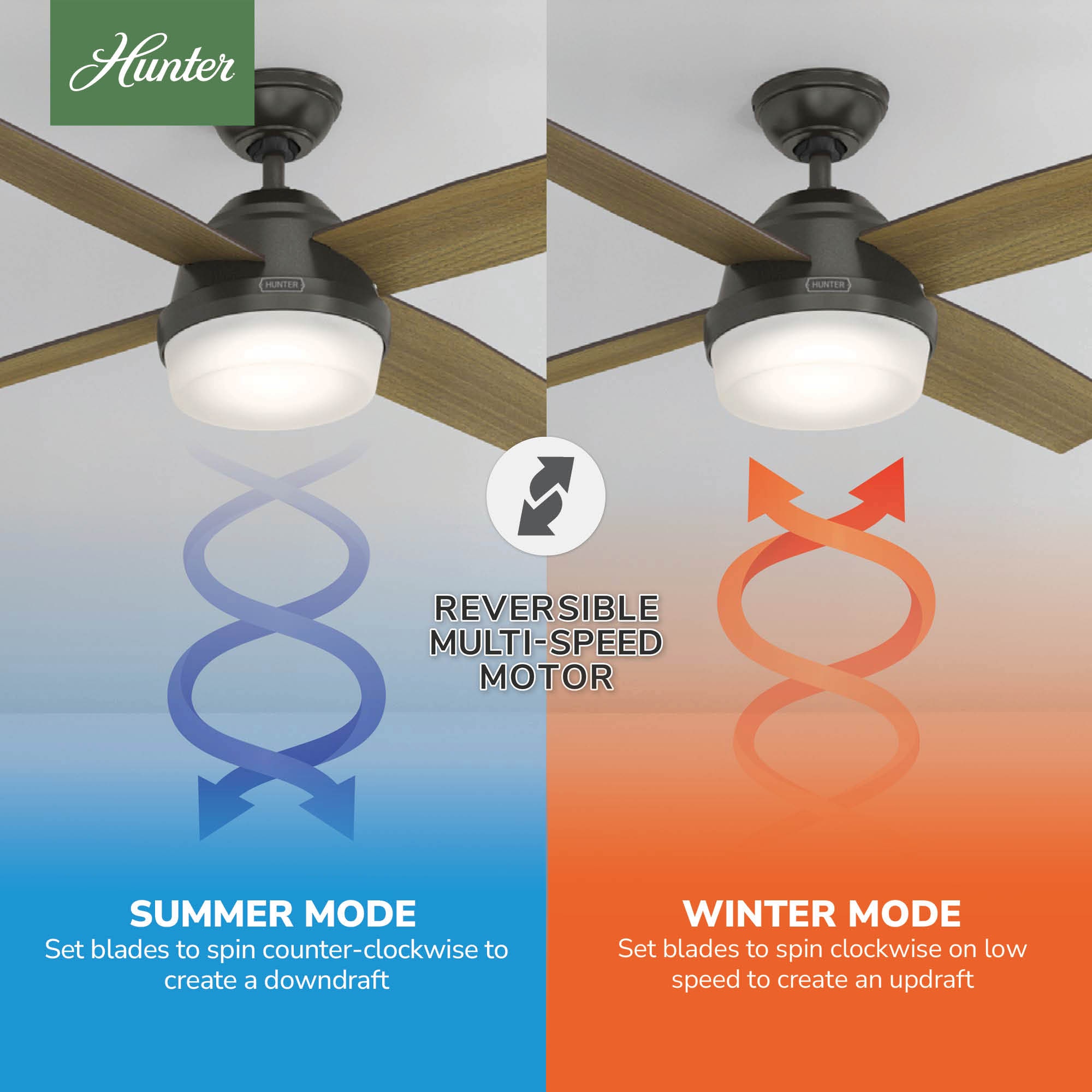 Hunter 59446 Ceiling-Fans - View #7