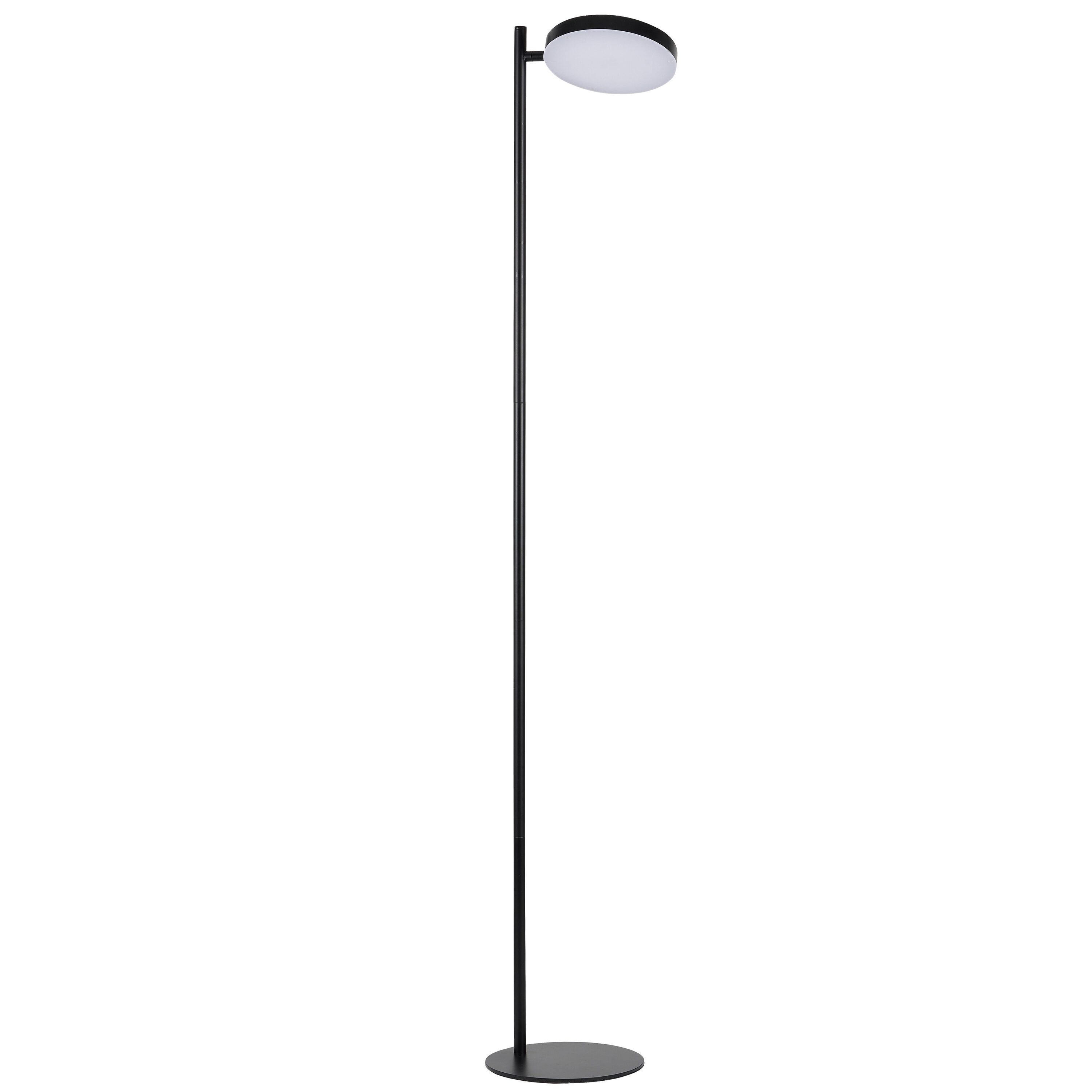Dainolite Fia 60.5-in Matte Black, White Standard Floor Lamp with Acrylic Shade