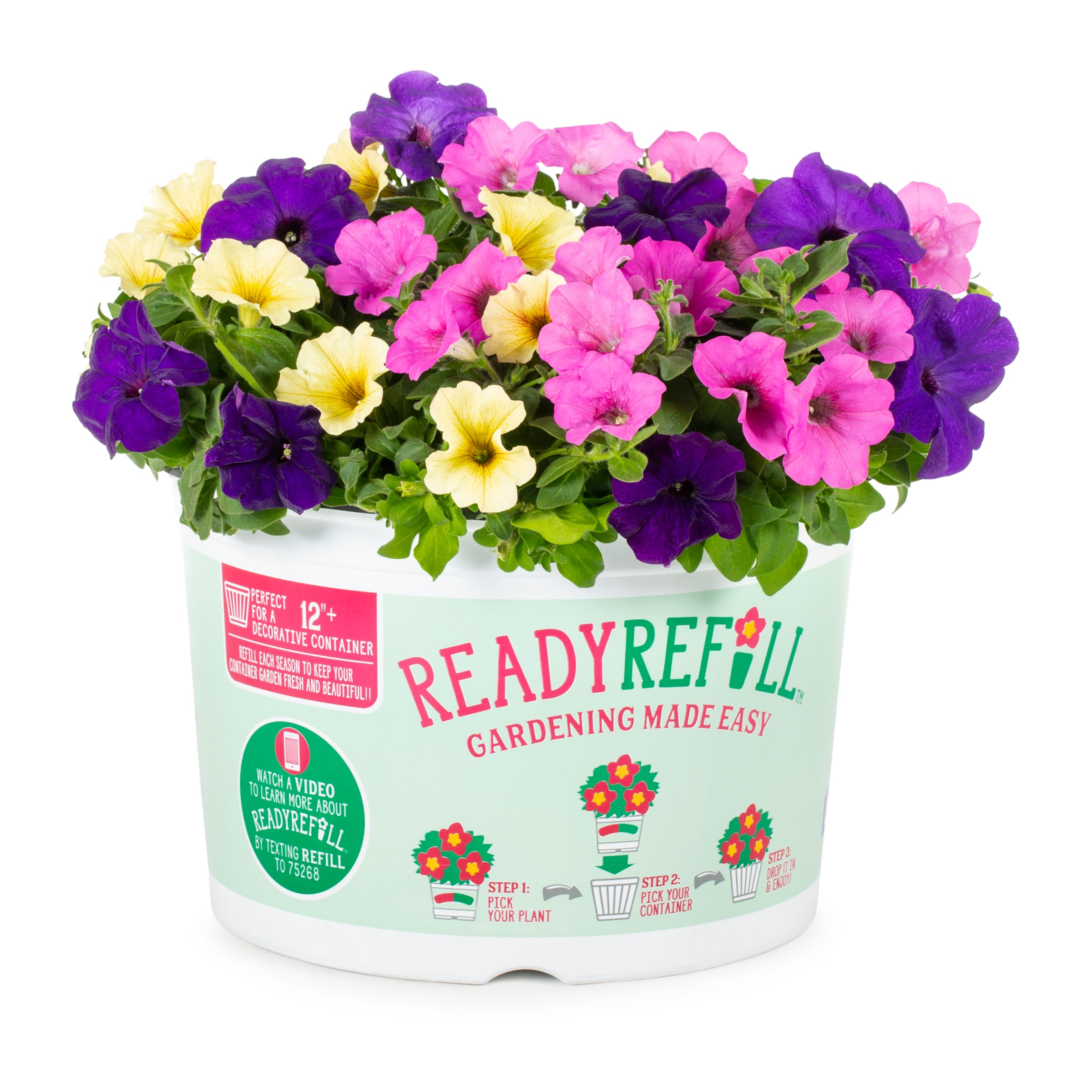 Ready Refill NURSERY Multicolor Petunia in 2.5-Gallon Pot