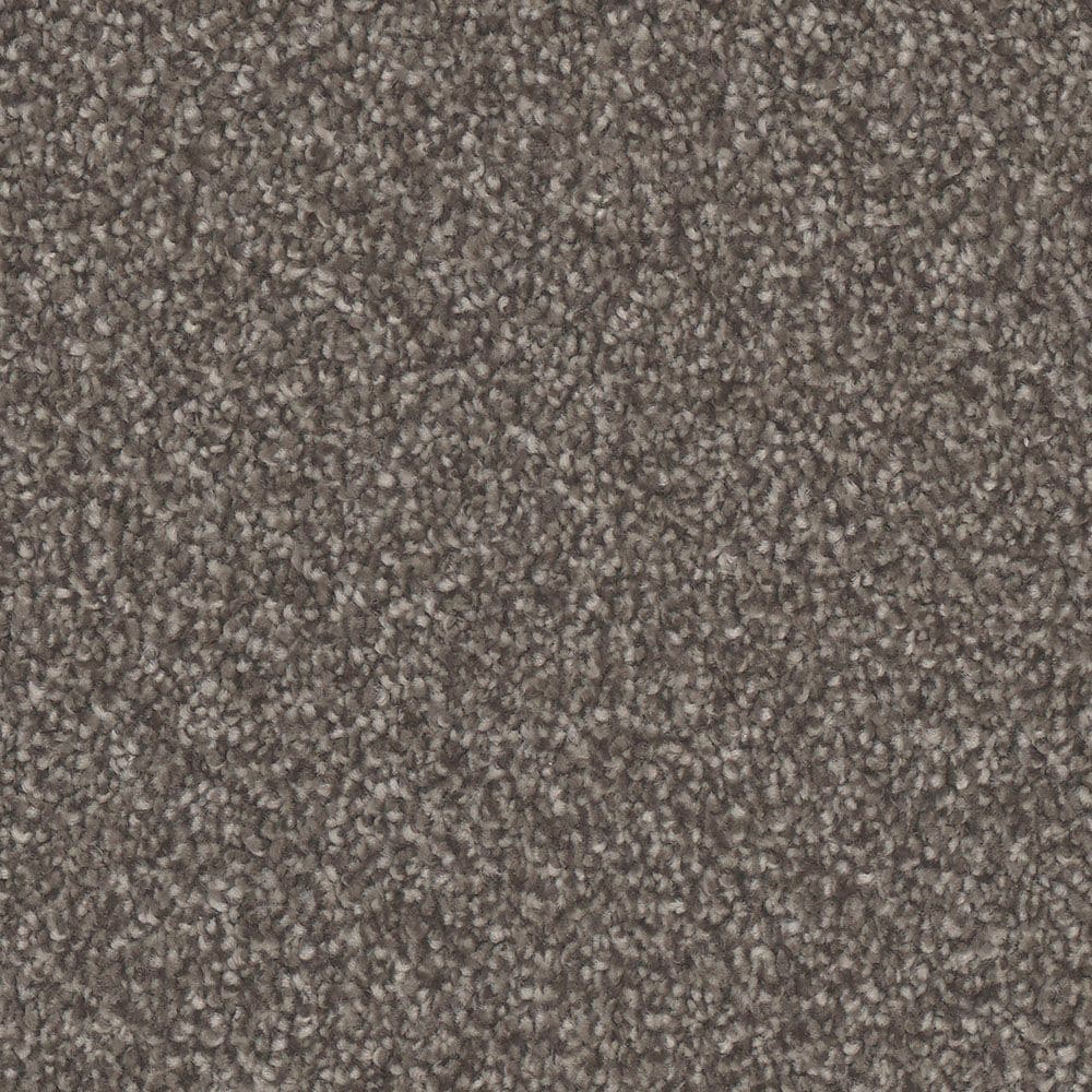 STAINMASTER S9840-10008-S (Sample) Silk Gray 40-oz sq yard Polyester Textured Indoor Carpet