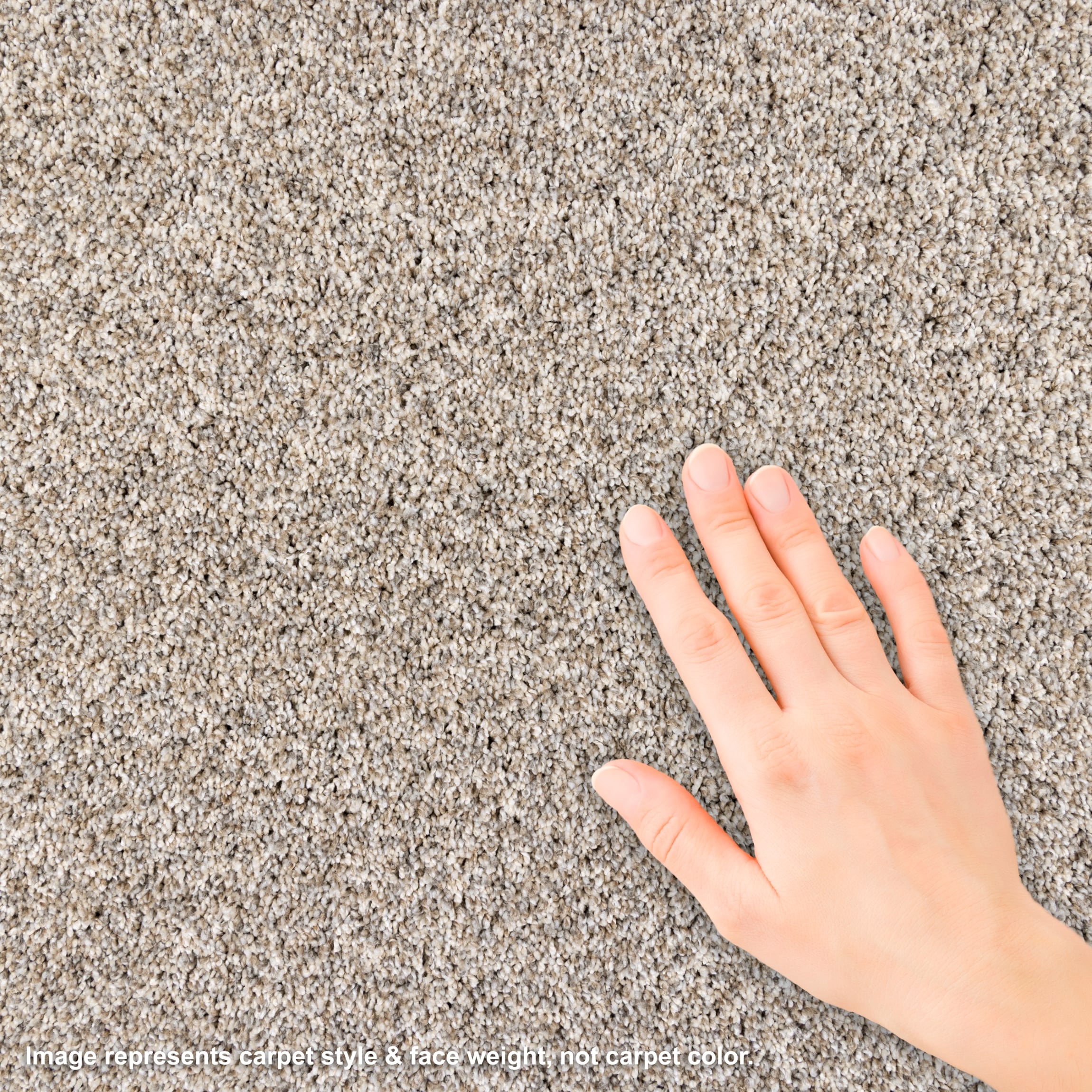 STAINMASTER PetProtect L3012-1003-1200-AB Carpet-Panel - View #4