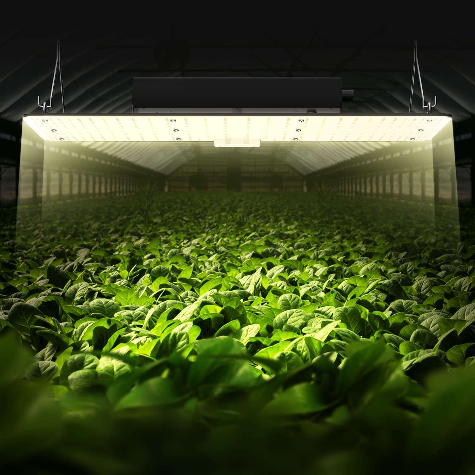VEVOR LZB210W22110V00HHV1 Grow-Lights - View #2