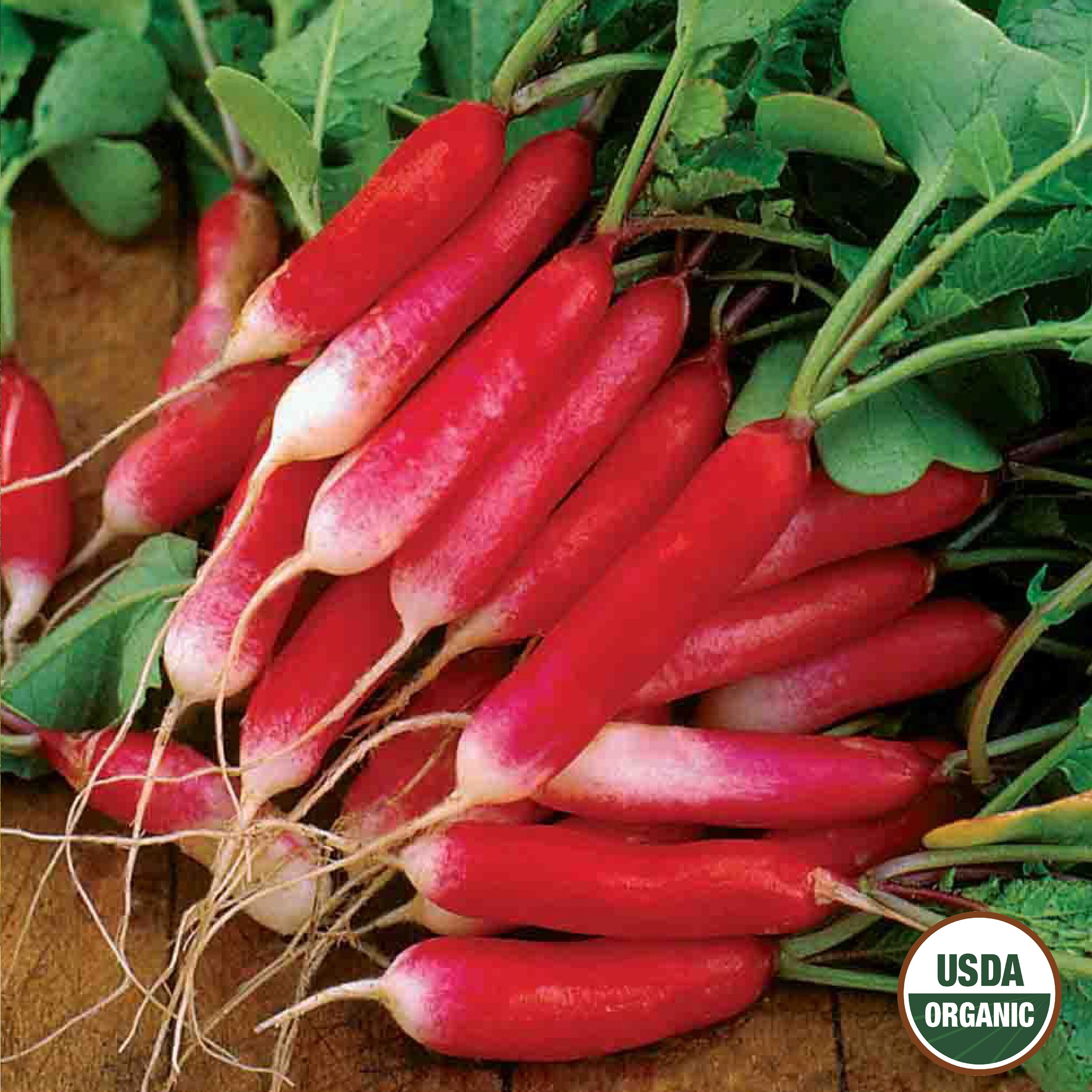 Ferry-Morse LC25.0818 Vegetable-Herb-Seeds - View #3