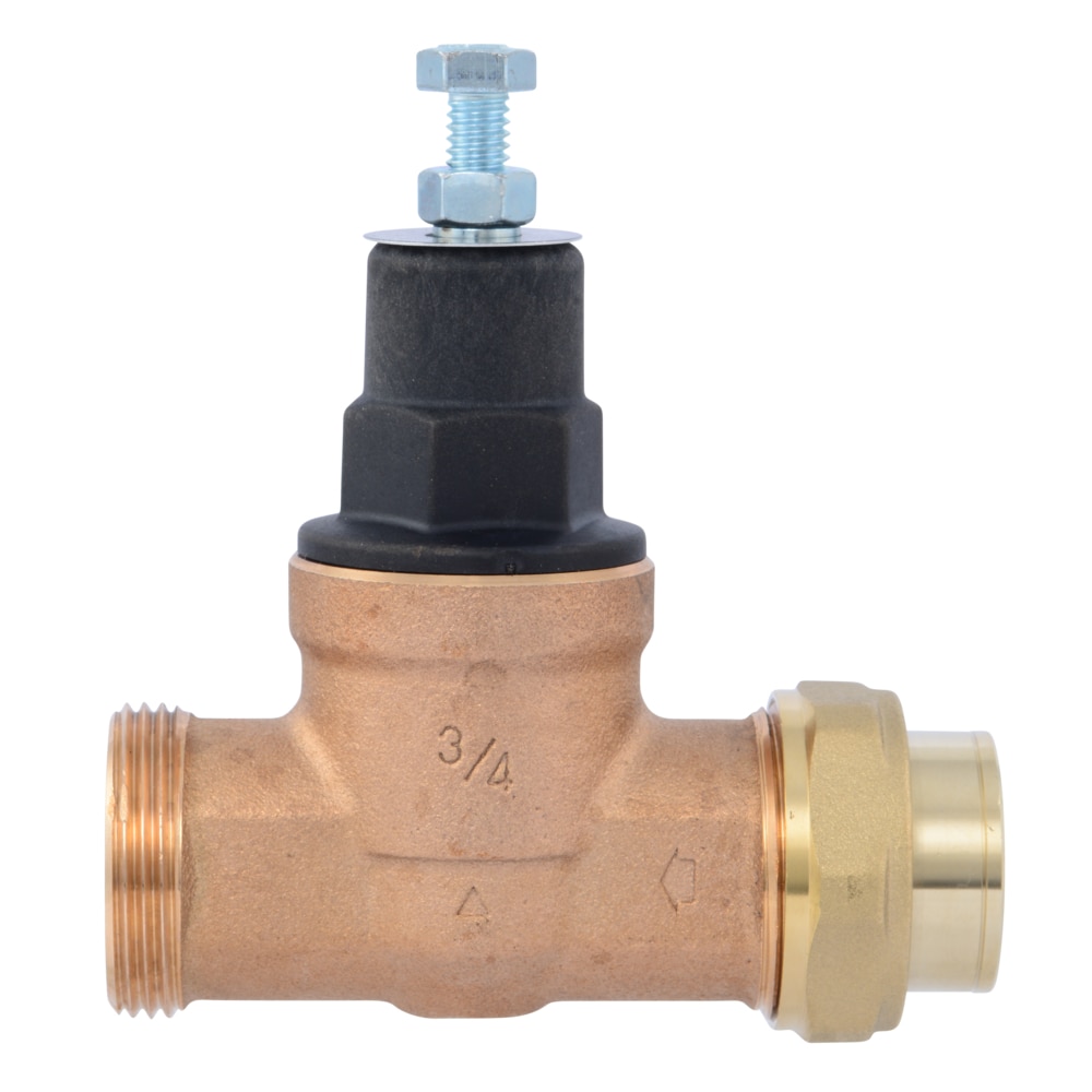 Cash Acme PVA16P-SUTH-60 Pressure-Relief-Valves-Regulators - View #3