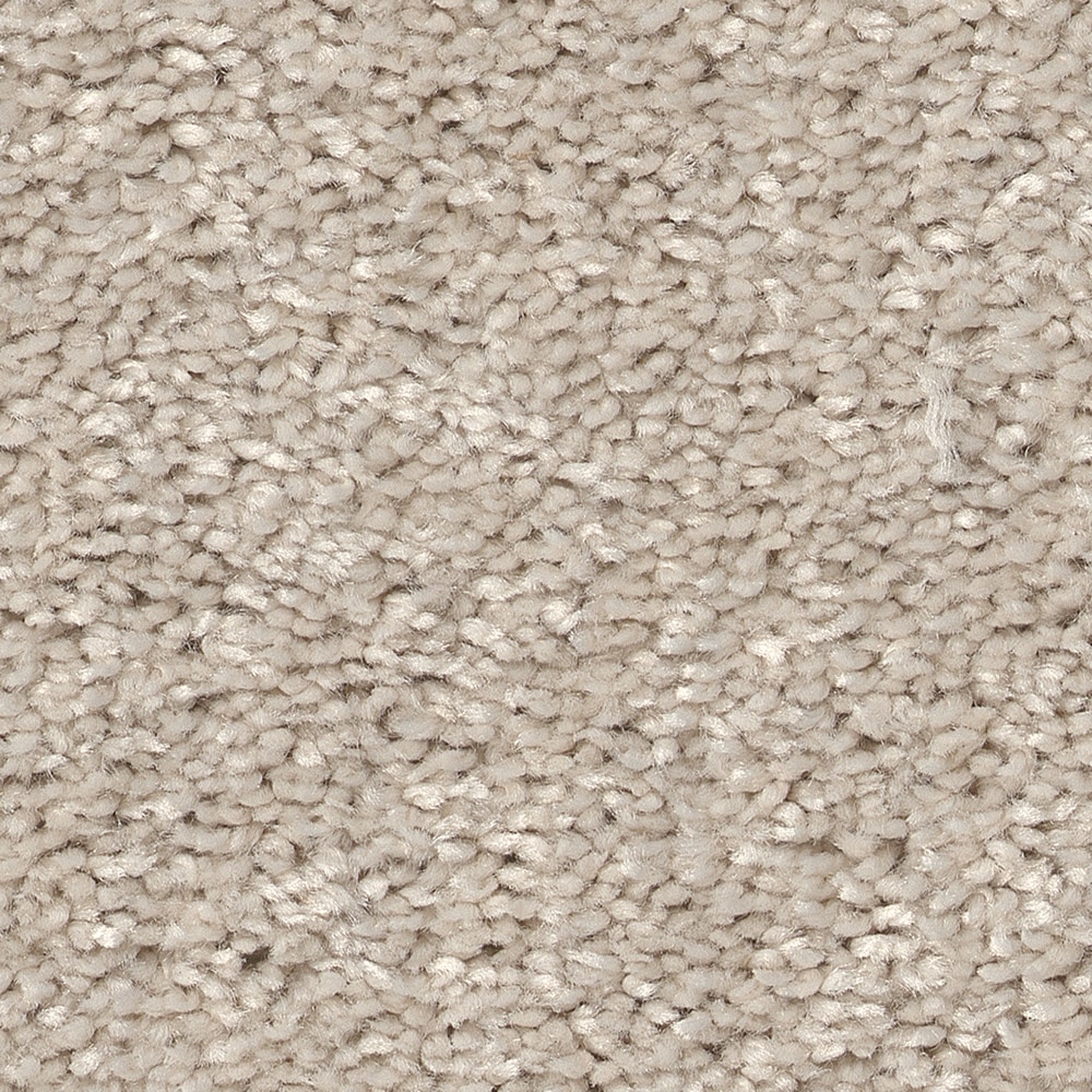 Style Selections 7L846 - 102 - SAMP (Sample) Dialed In I Angel Cloud Off-white 25-oz sq yard Polyester Textured Indoor Carpet