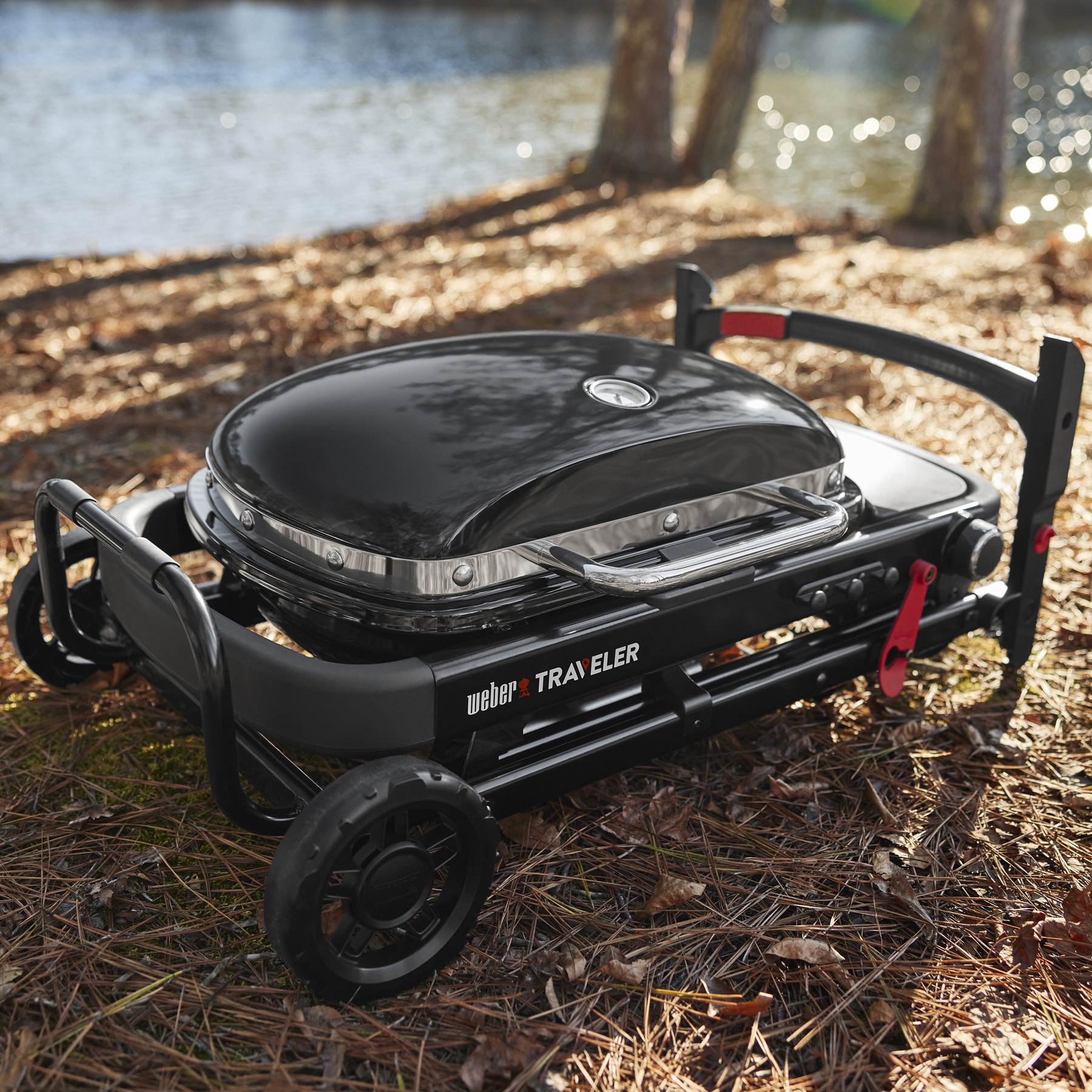 Weber 1500460 Tabletop-Grills - View #5