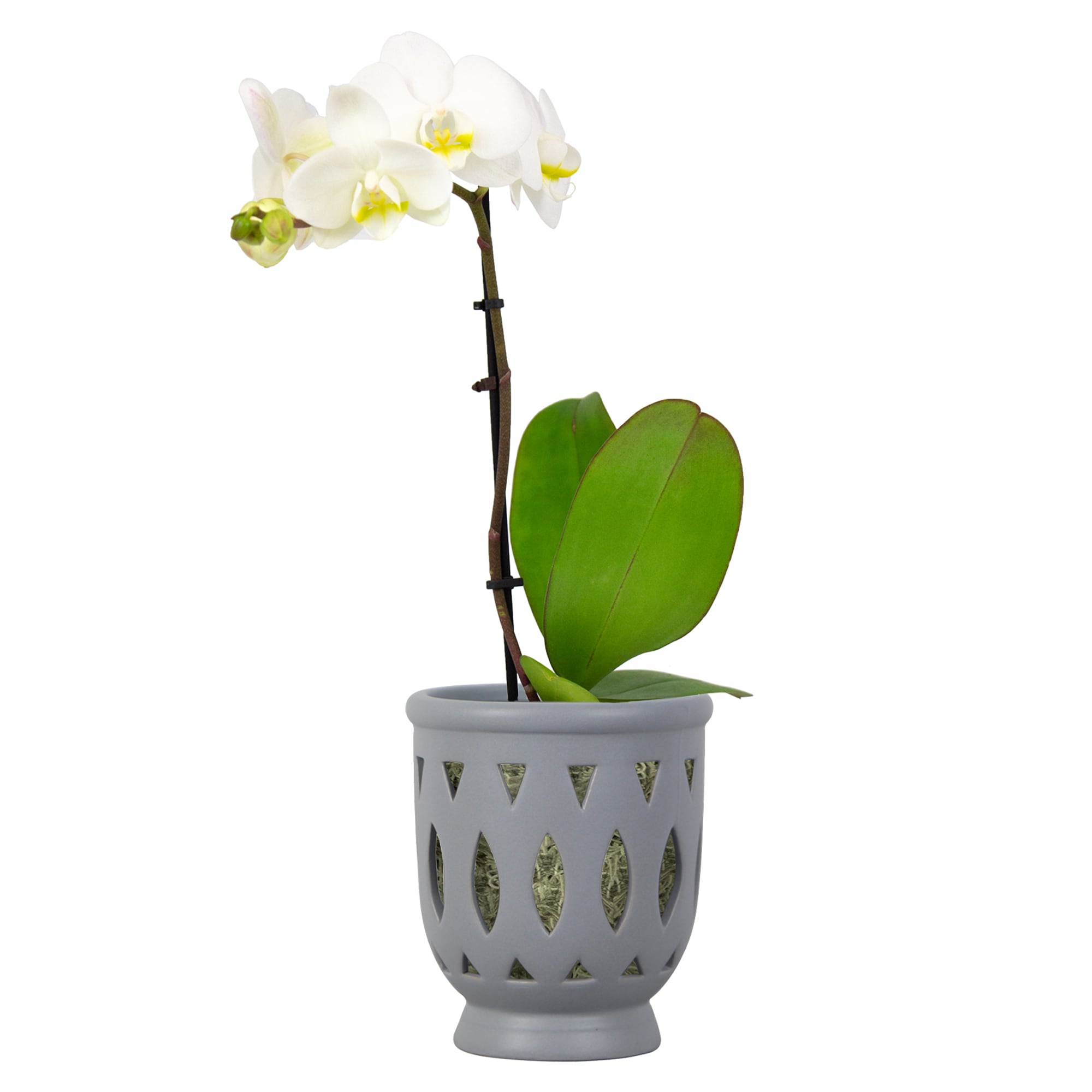 Trendspot LECR01291N-06HS Planter-Window-Box - View #3