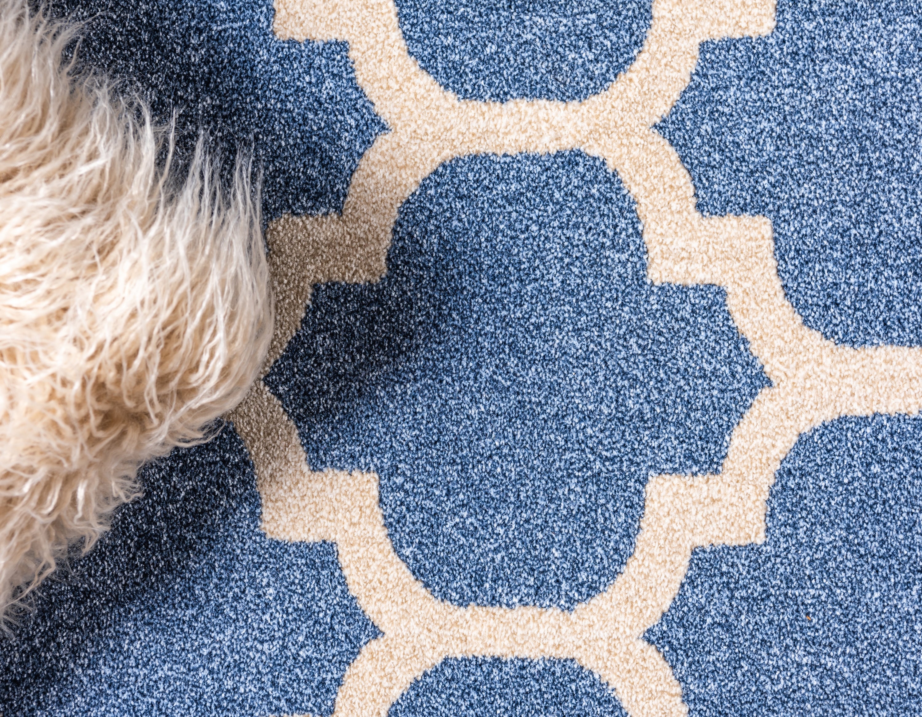 Unique Loom 3116315 rugs - View #6