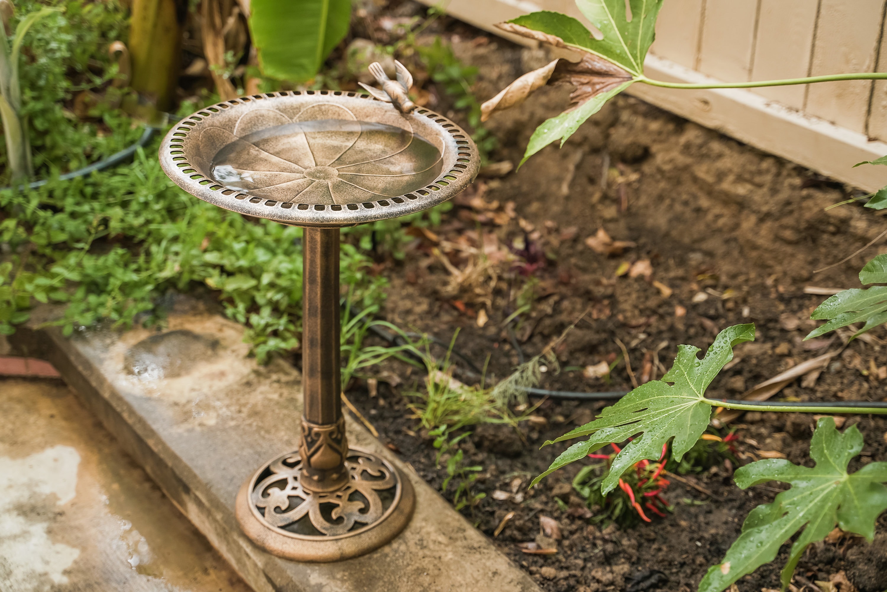 XBrand 24-in H Bronze Plastic Complete Birdbath at Lowes.com