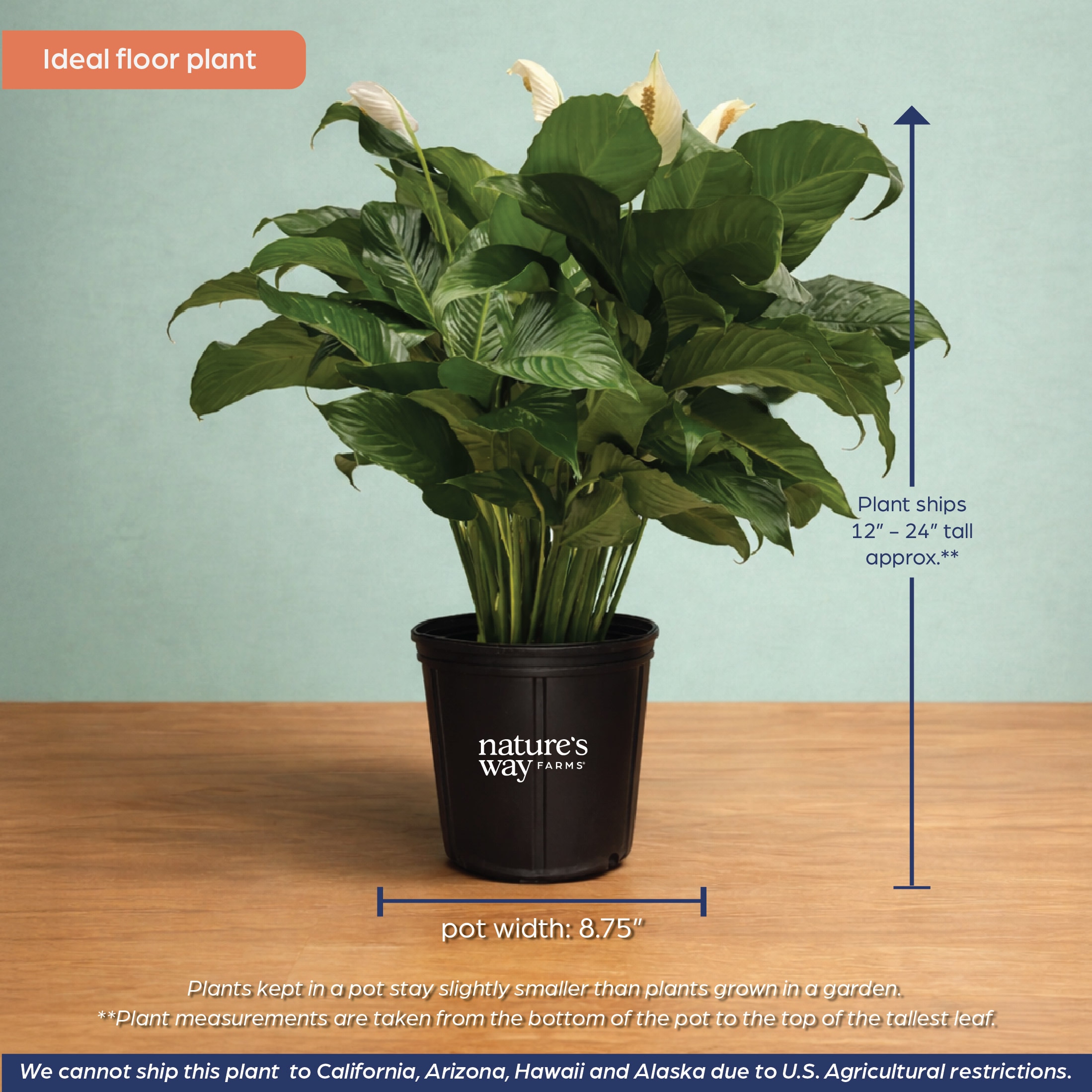 Nature's Way Farms 2910 hseplants - View #5