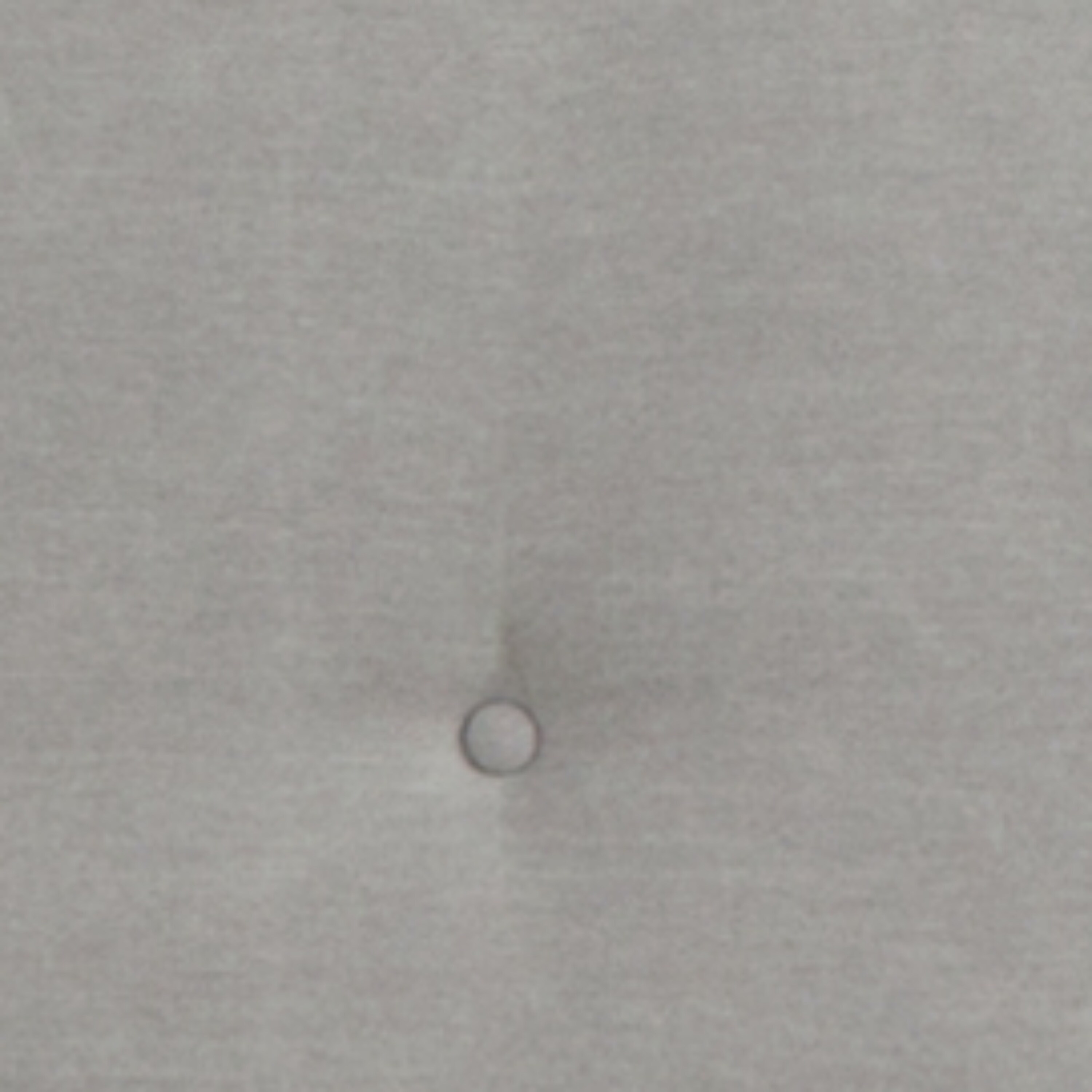 Flash Furniture 889142669371 beds - View #5