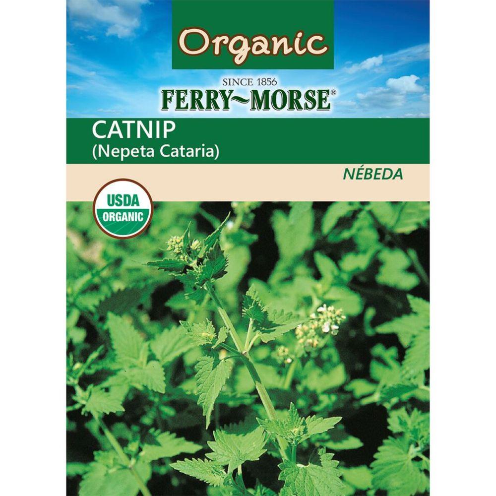 Ferry-Morse 474579.249.464389 Organic 525 Milli-Gram Organic Catnip (L0000)