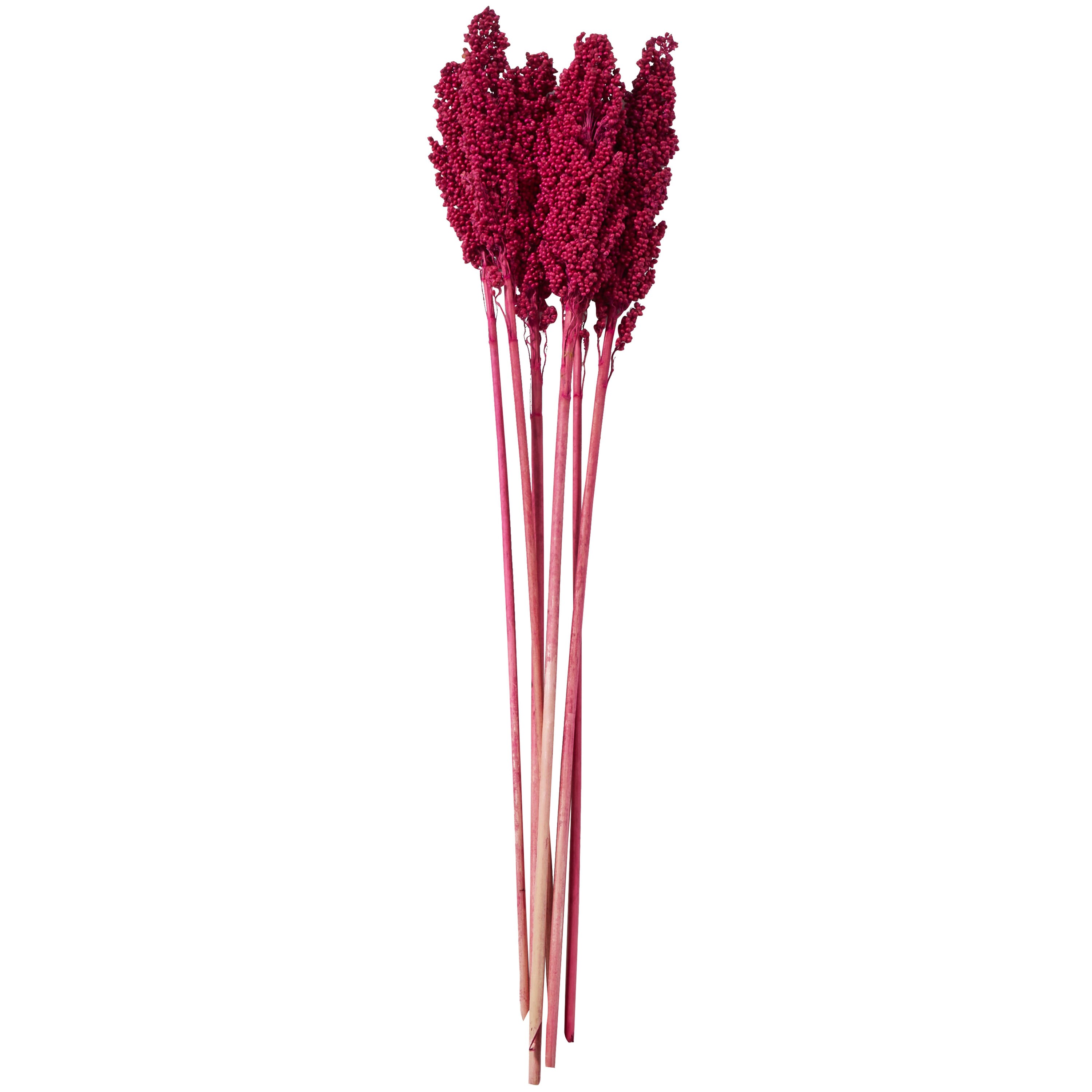 Grayson Lane 30-in Pink with Long Stems Indoor Dried Bouquet Artificial ...