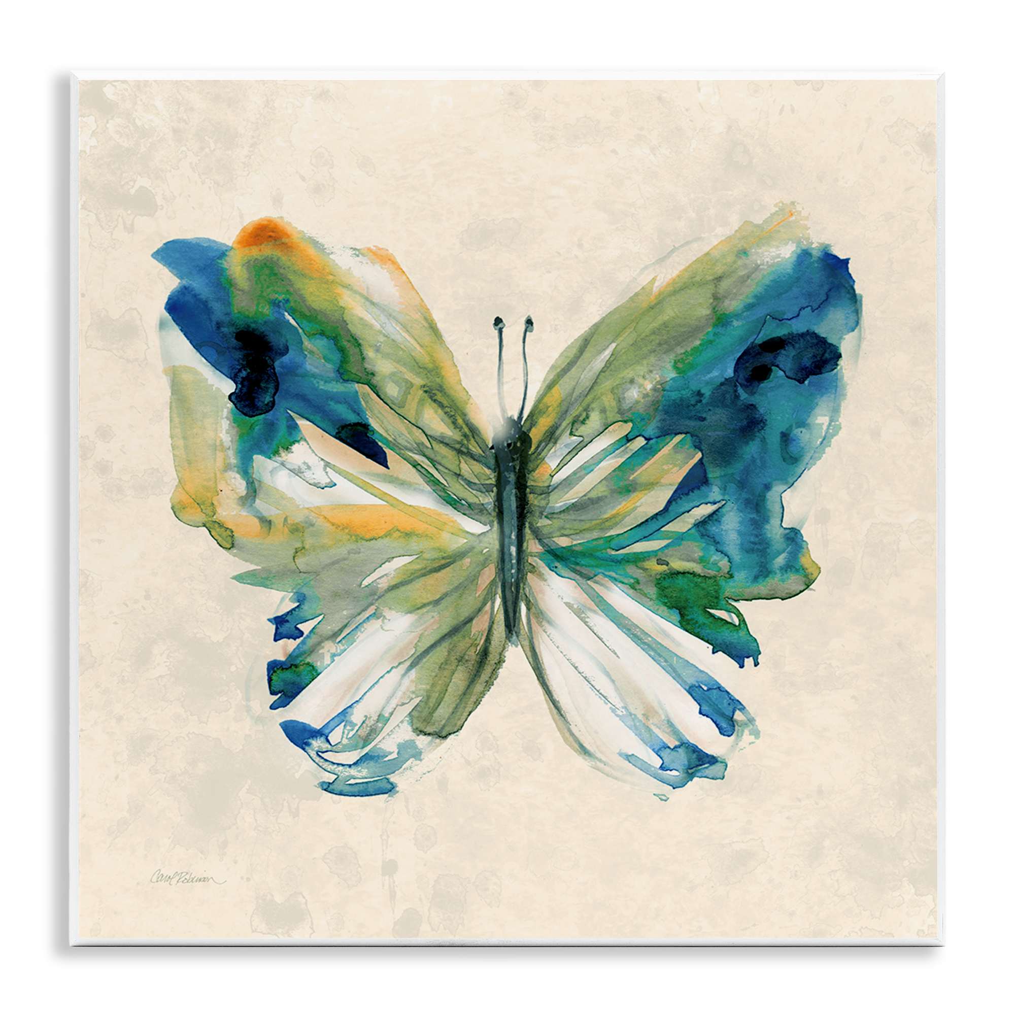 Stupell Industries Vivid Abstract Butterfly Wings Wall Plaque Art By Carol  Robinson 12 x 12 in the Wall Art department at Lowes.com, image size:900x900