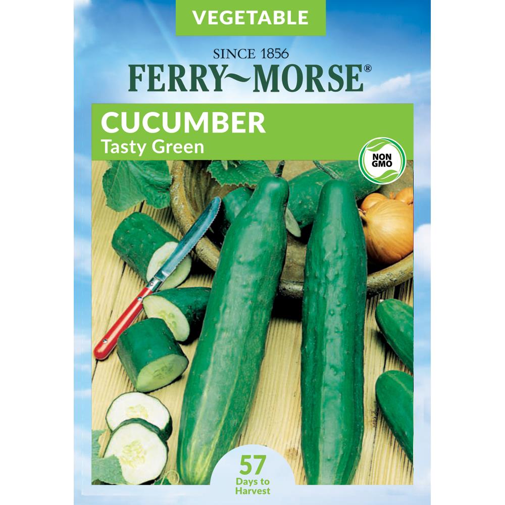 Ferry-Morse 442332.178.906728 Cucumber Tasty Green Burpless Vegetable Seeds 700-mg