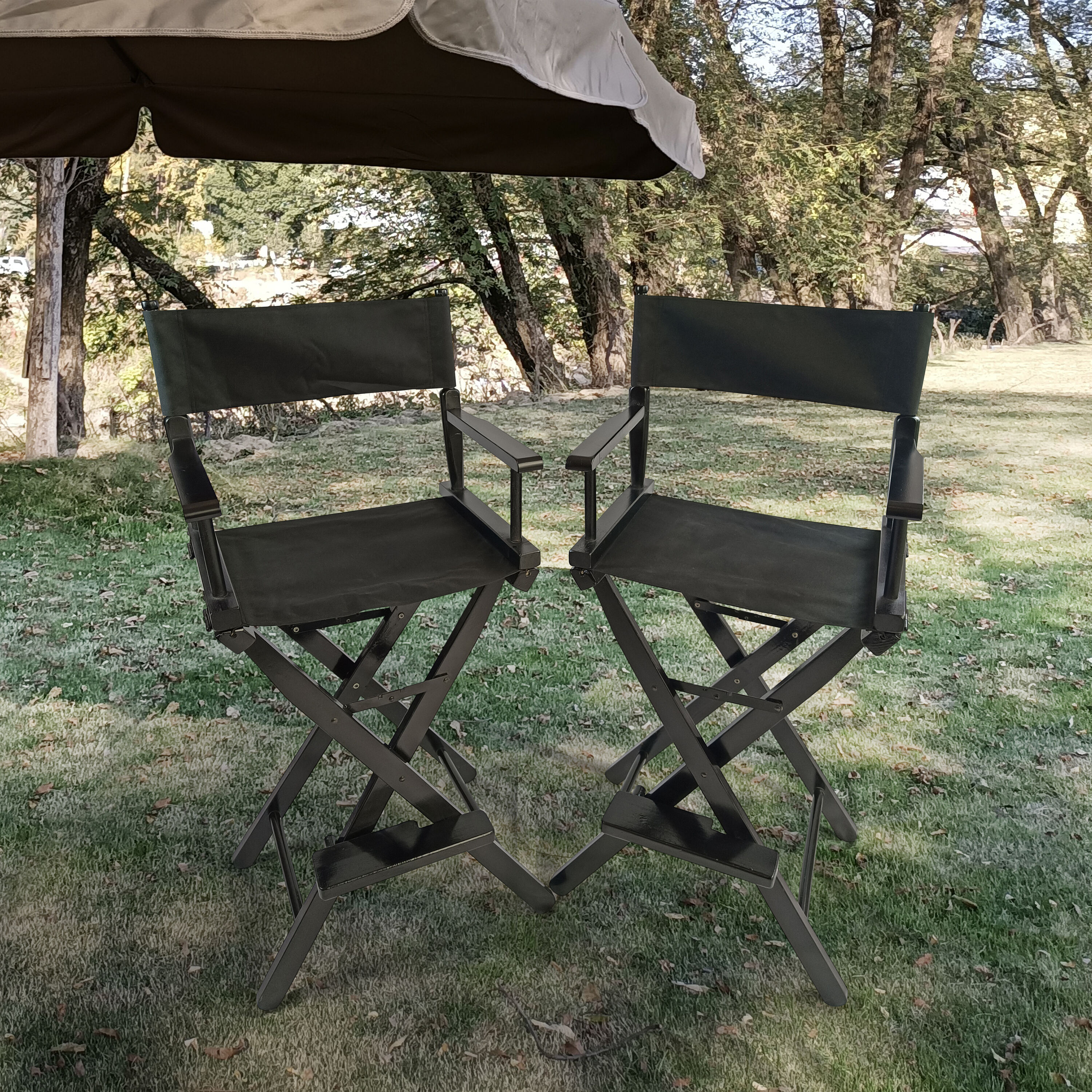 LIVIZA GIZSY32121 Beach-Camping-Chairs - View #2