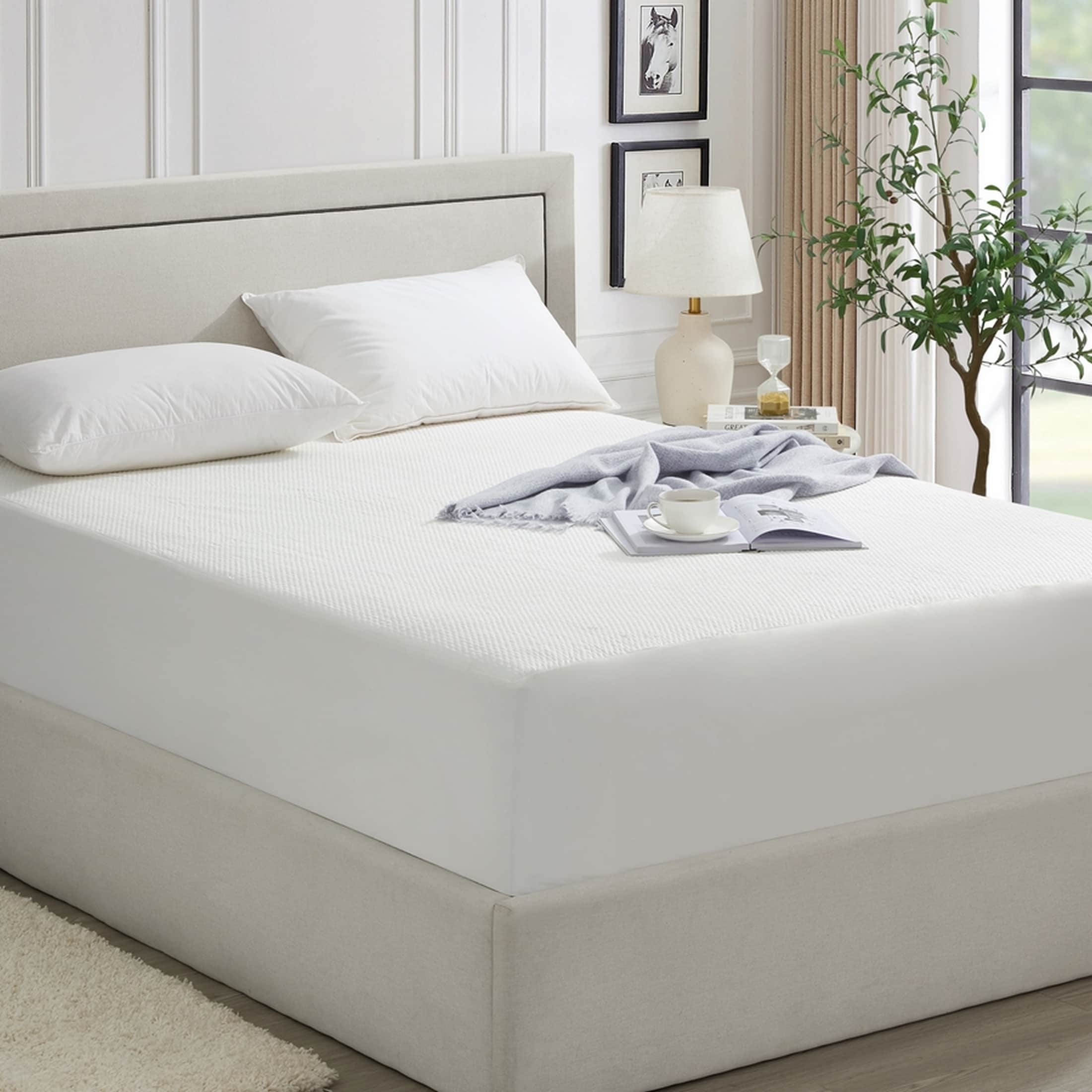 Dan River 17-in D Rayon from bamboo Queen Mattress topper