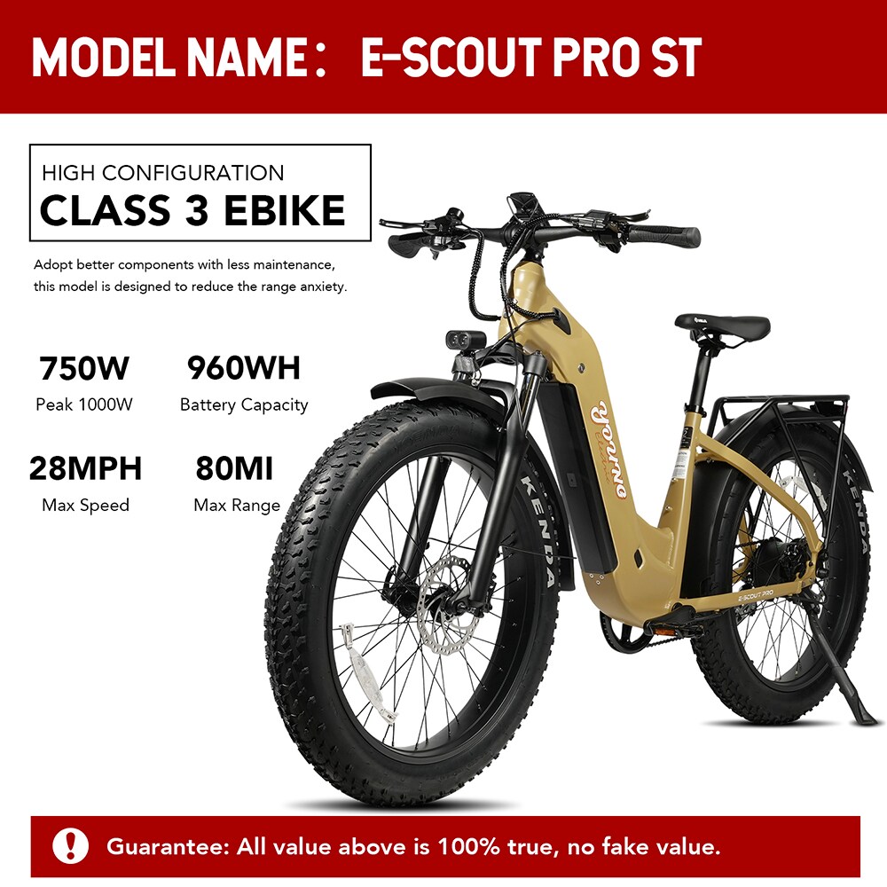 Young Electric 12803024YL bikes - View #2