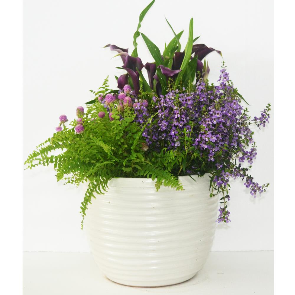 allen + roth 1507MMW-V03 Planter-Window-Box - View #10