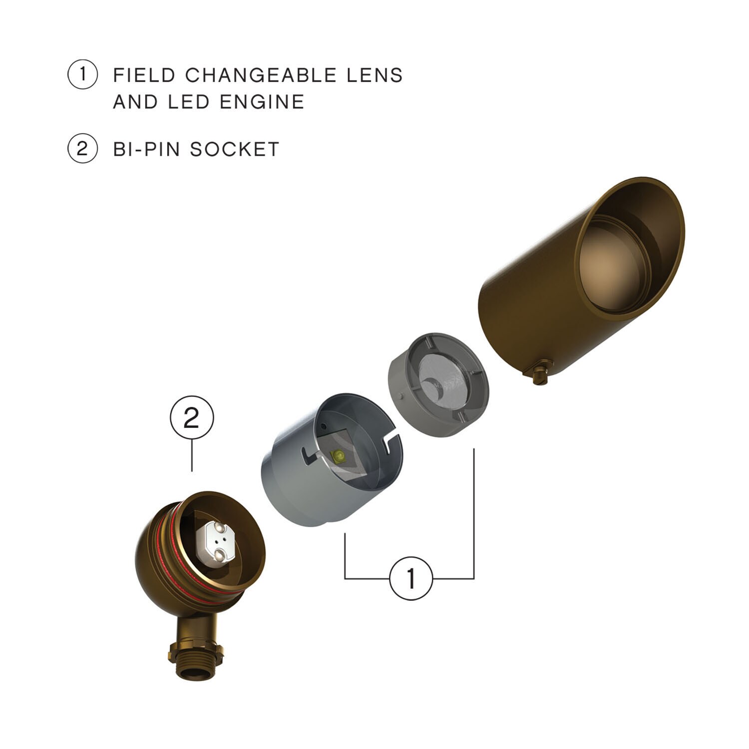 Matte Bronze LED Outdoor Spotlight with Clear Lens