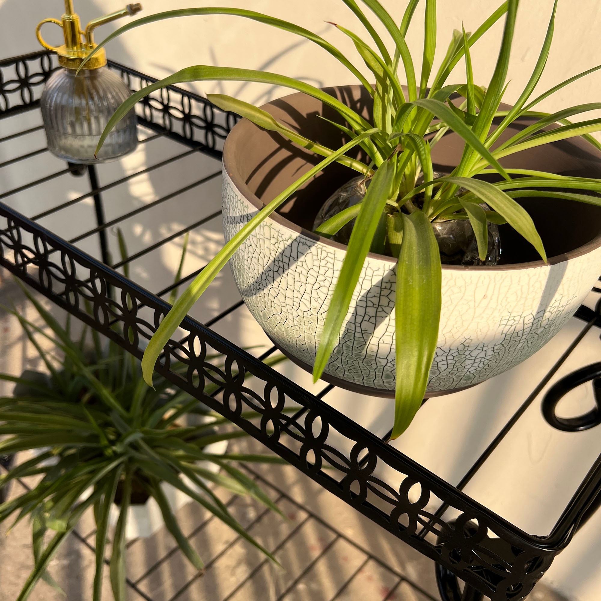 allen + roth TAODF271 Plant-Stand - View #7