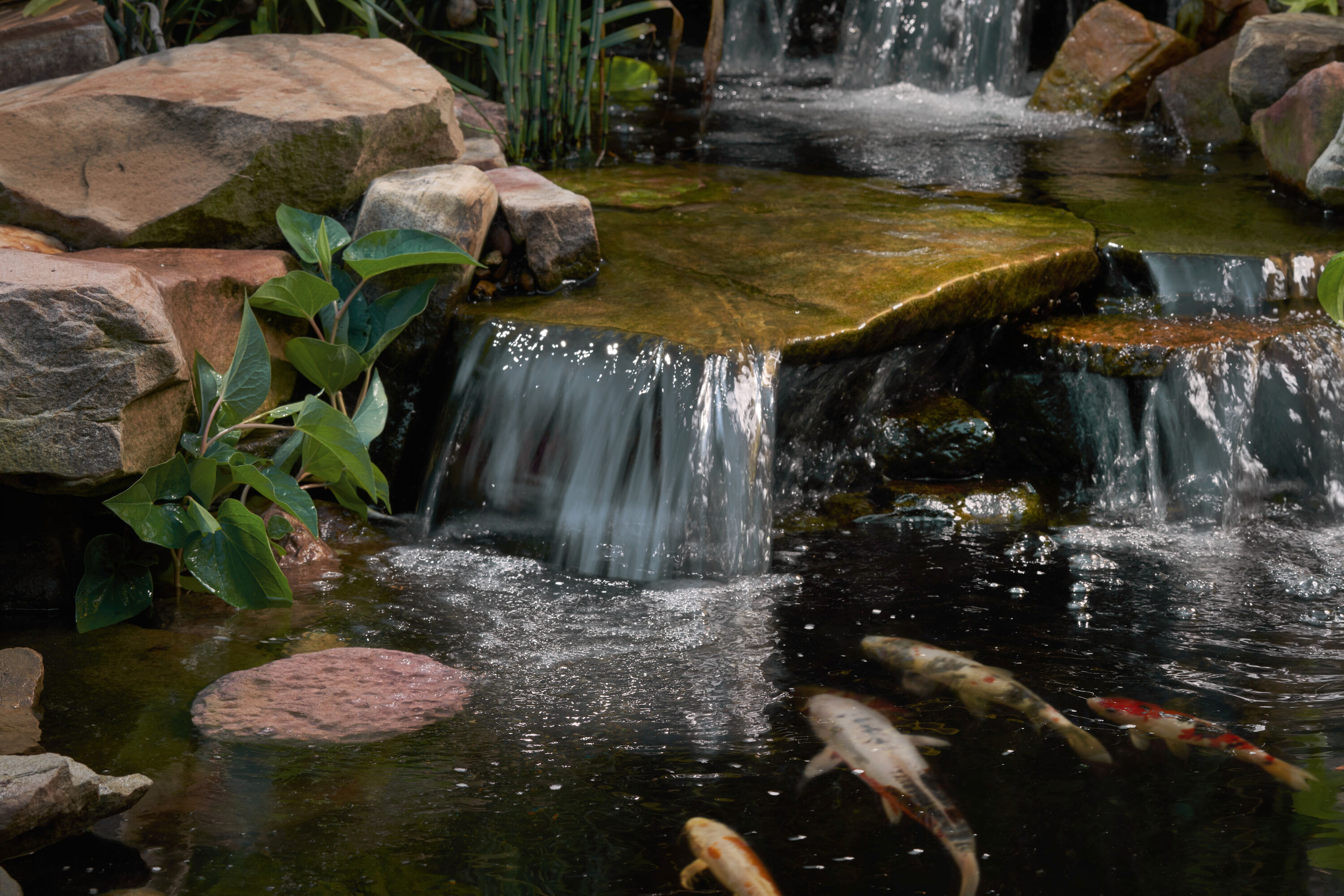 Magic Pond Rock 20965 Pond-Cleaners - View #7