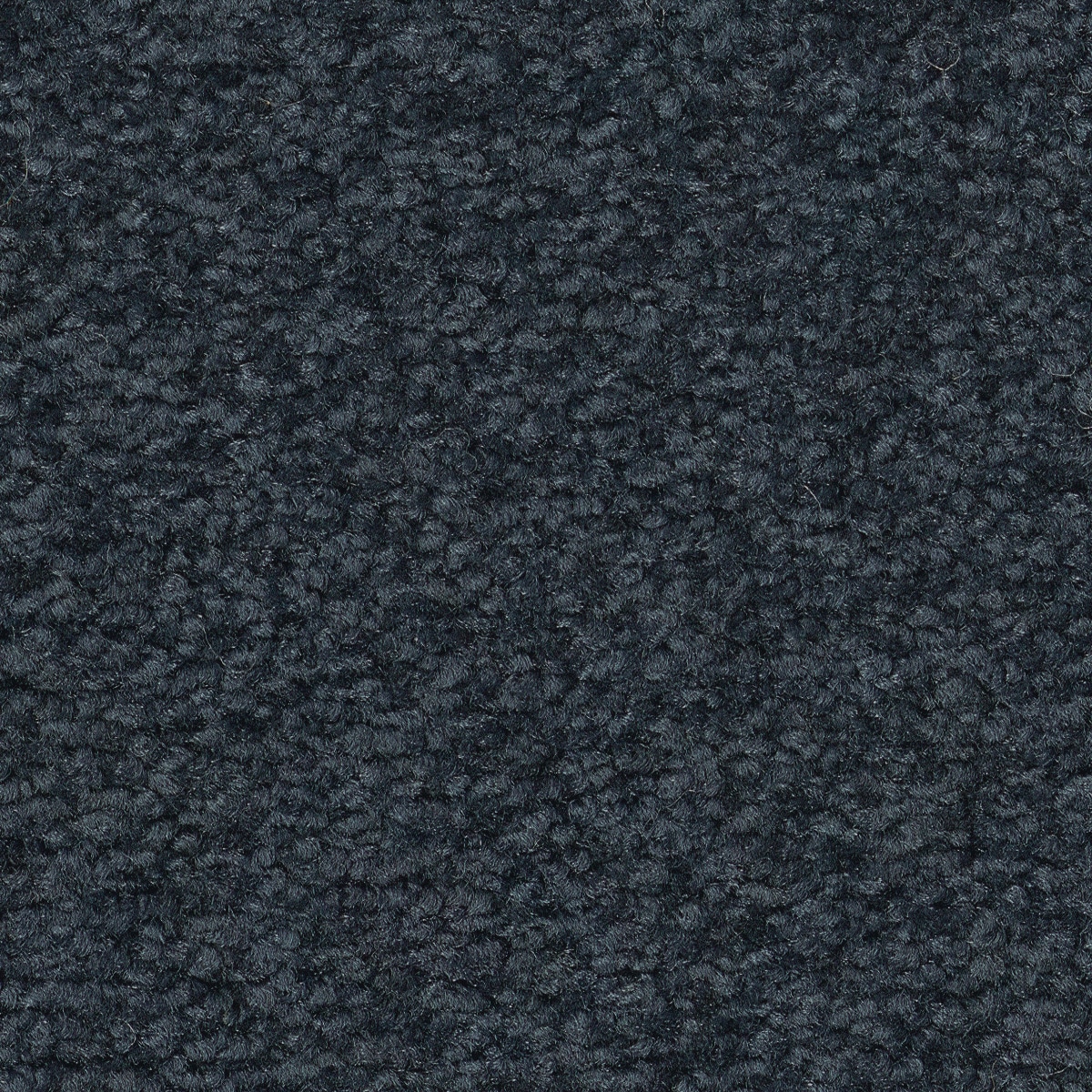 STAINMASTER PetProtect 7L883 - 404 - SAMP (Sample) Best of Breed III Sea Mariner Blue 68.2-oz sq yard Nylon Textured Indoor Carpet