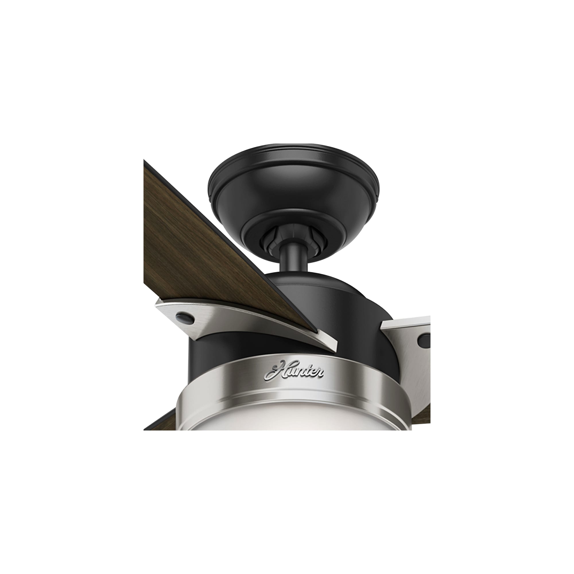 Hunter 59228 Ceiling-Fans - View #5