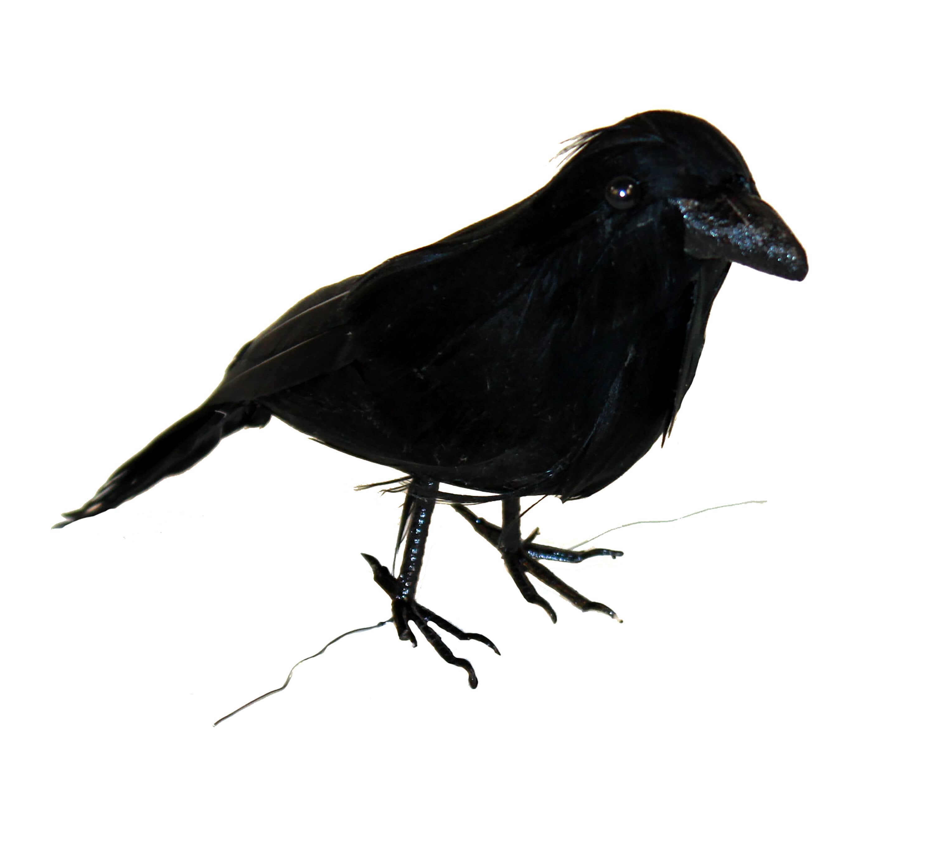 Worth Imports 9231 6-Inches Tabletop Crow Figurine 3 -Pack