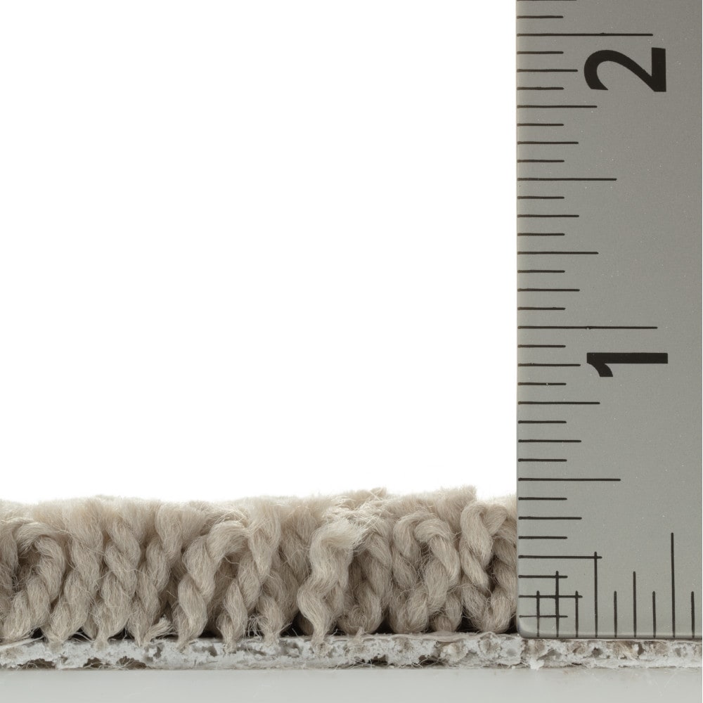 STAINMASTER 7L99100114 Carpet-Panel - View #8