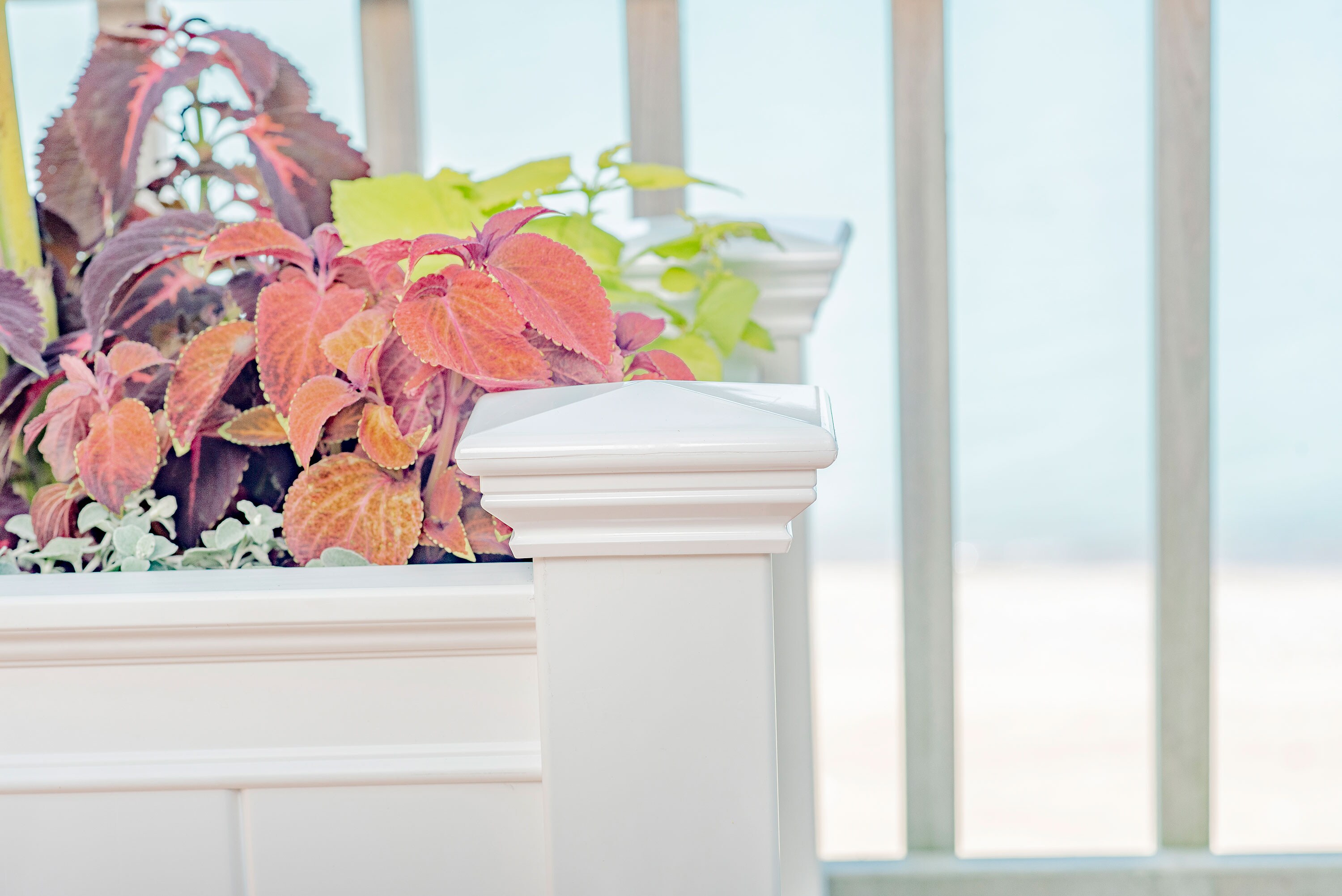 Vita VA68210 Planter-Window-Box - View #10