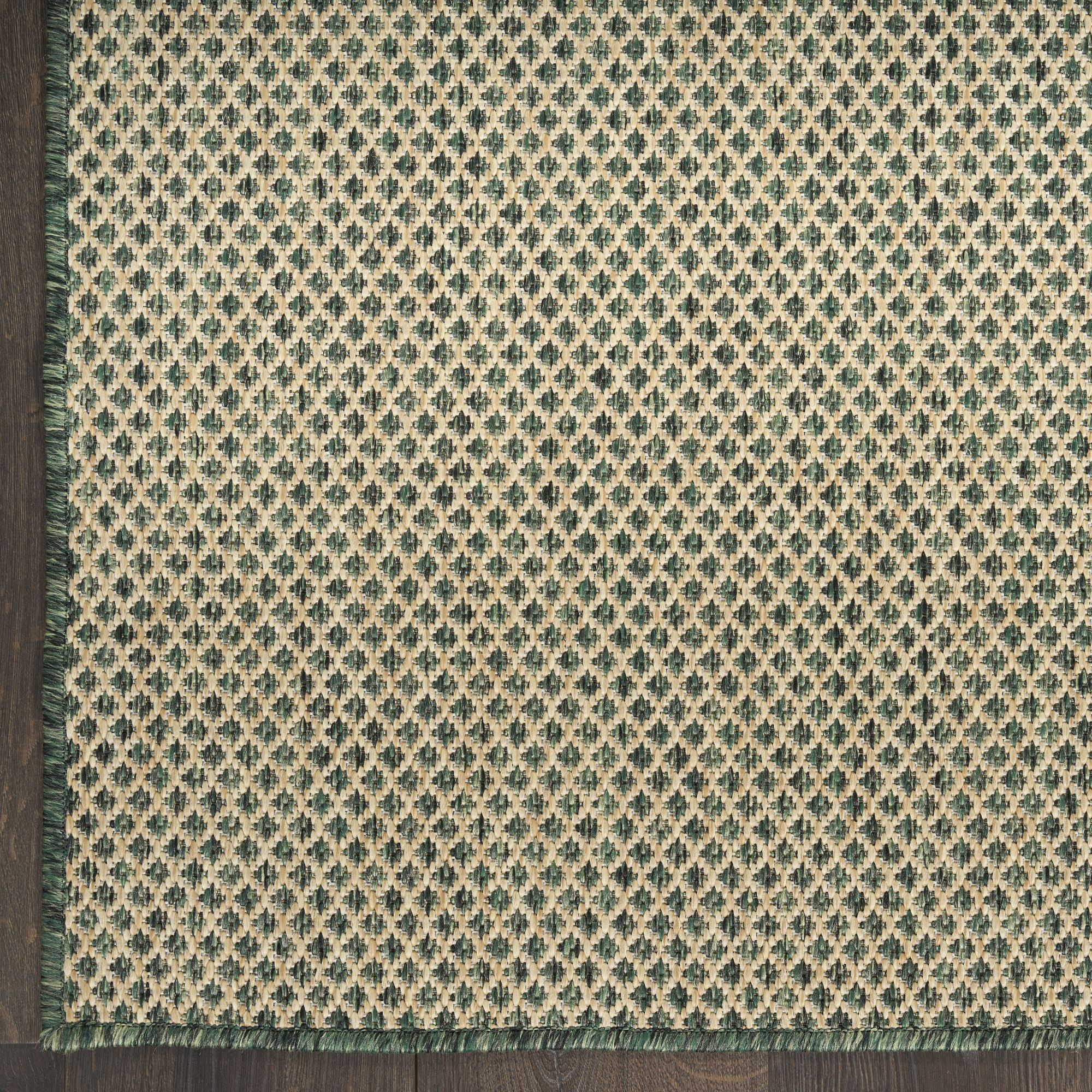 Nourison 841491183502 rugs - View #6