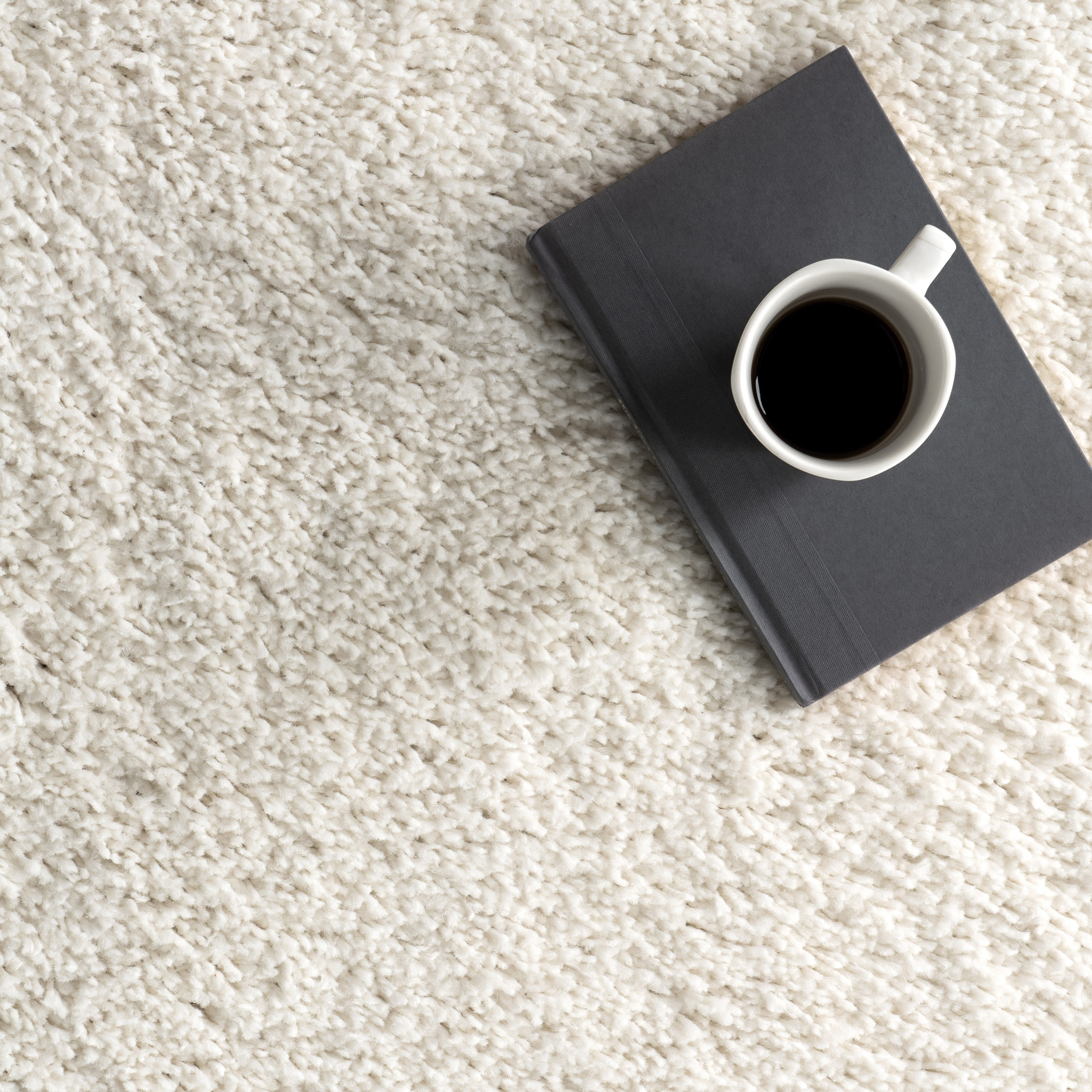 Plush Reversible White Shag Synthetic 4' x 6' Area Rug