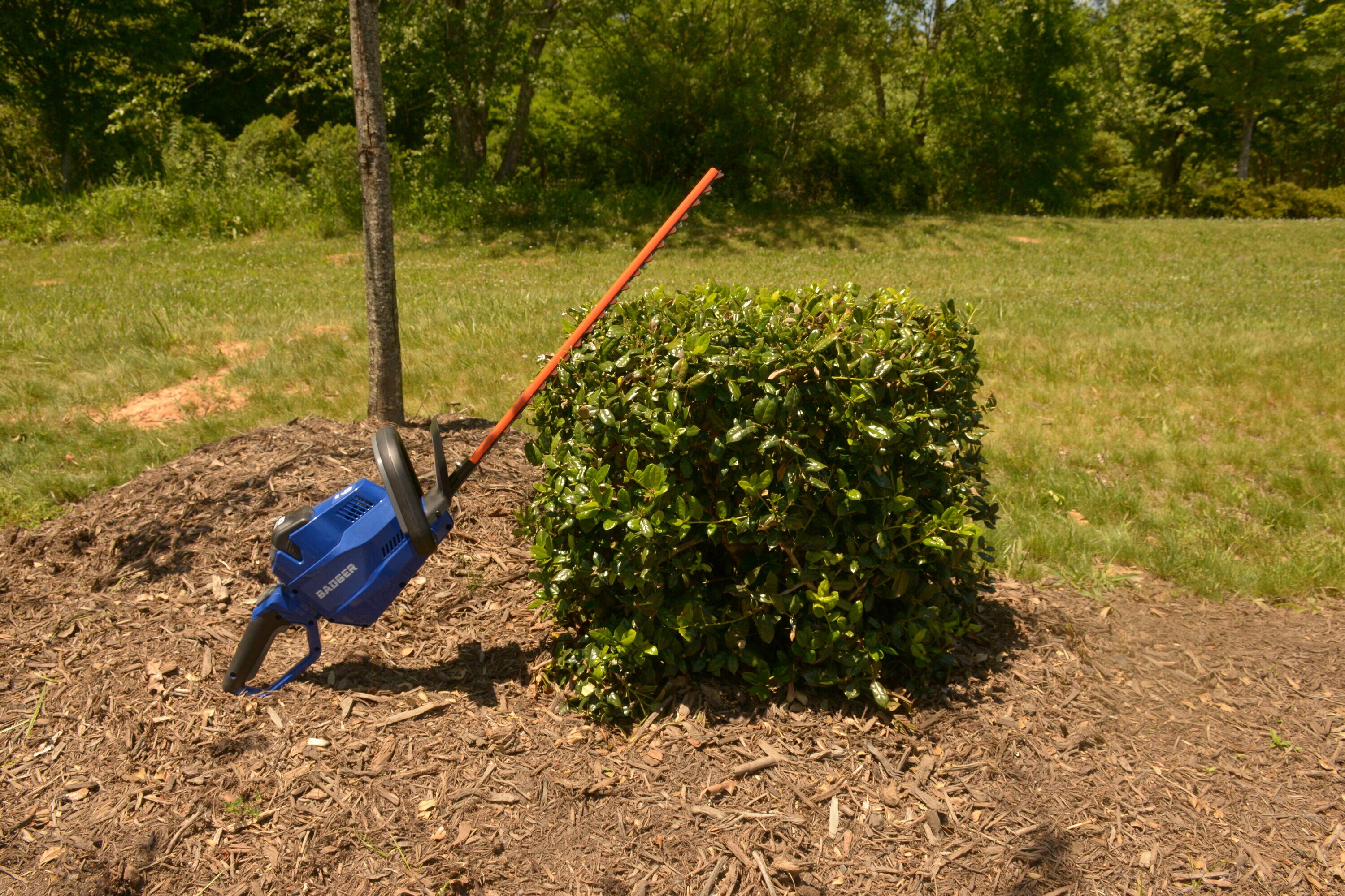 Wild Badger Power Cordless 40 Volt 22-inch Brushed Hedge Trimmer, TOOL ONLY  at Tractor Supply Co.