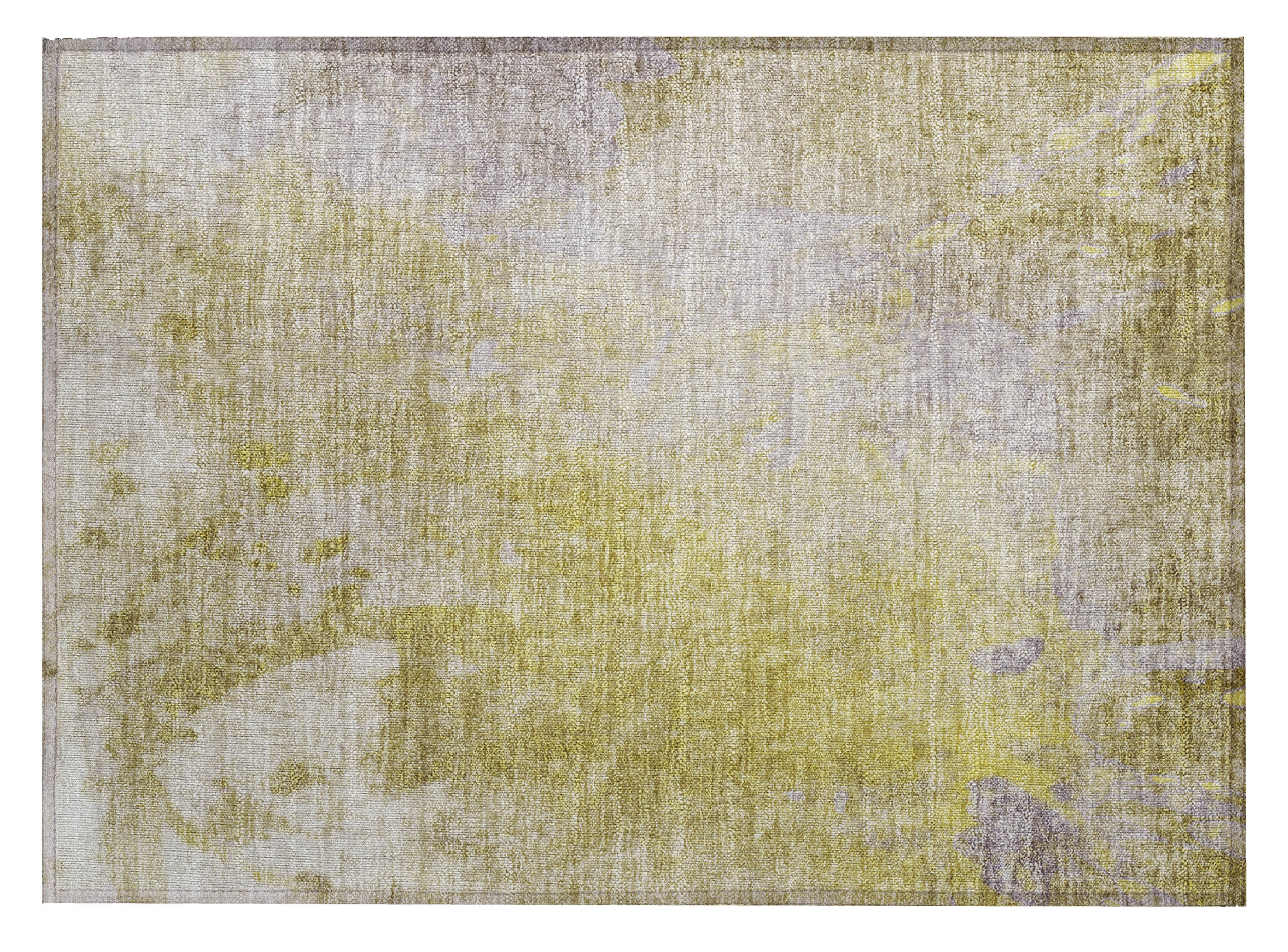Addison Rugs ACN562GO20X30 rugs - View #2
