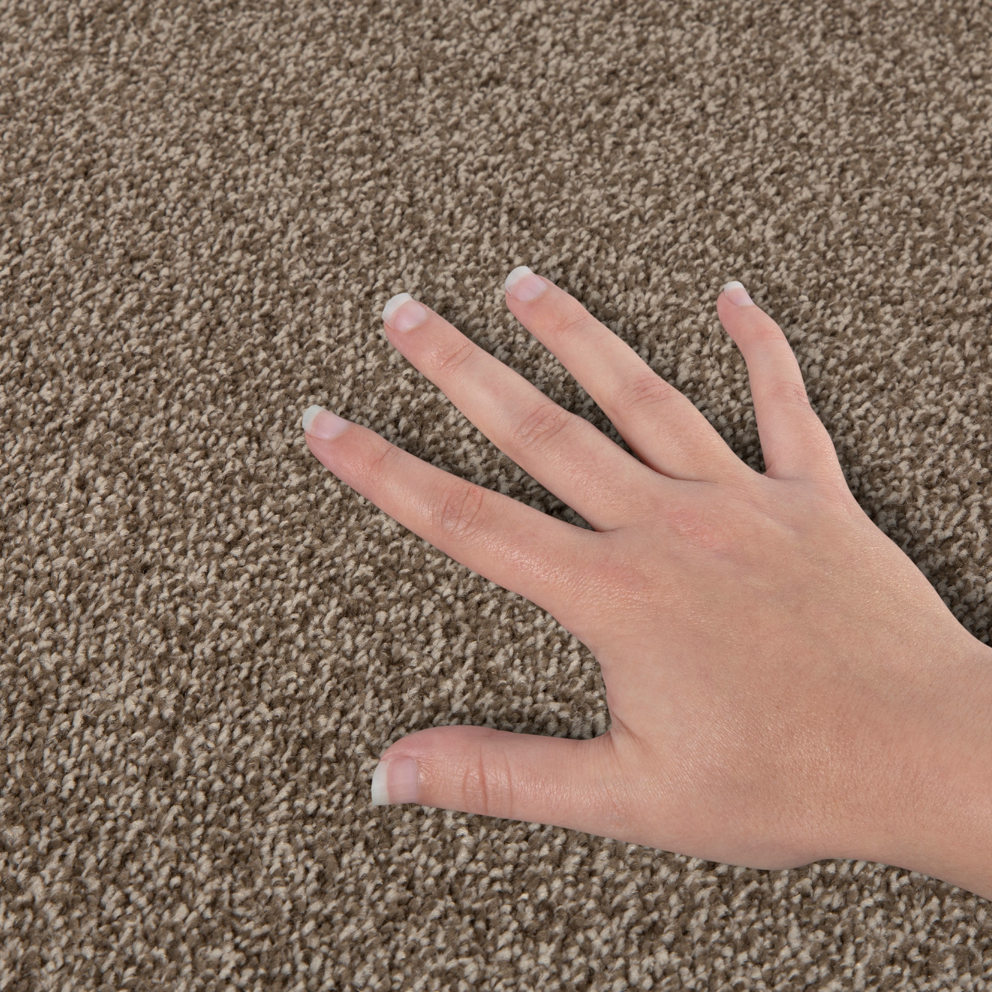 STAINMASTER SS019-L005-0808 Carpet-Samples - View #5