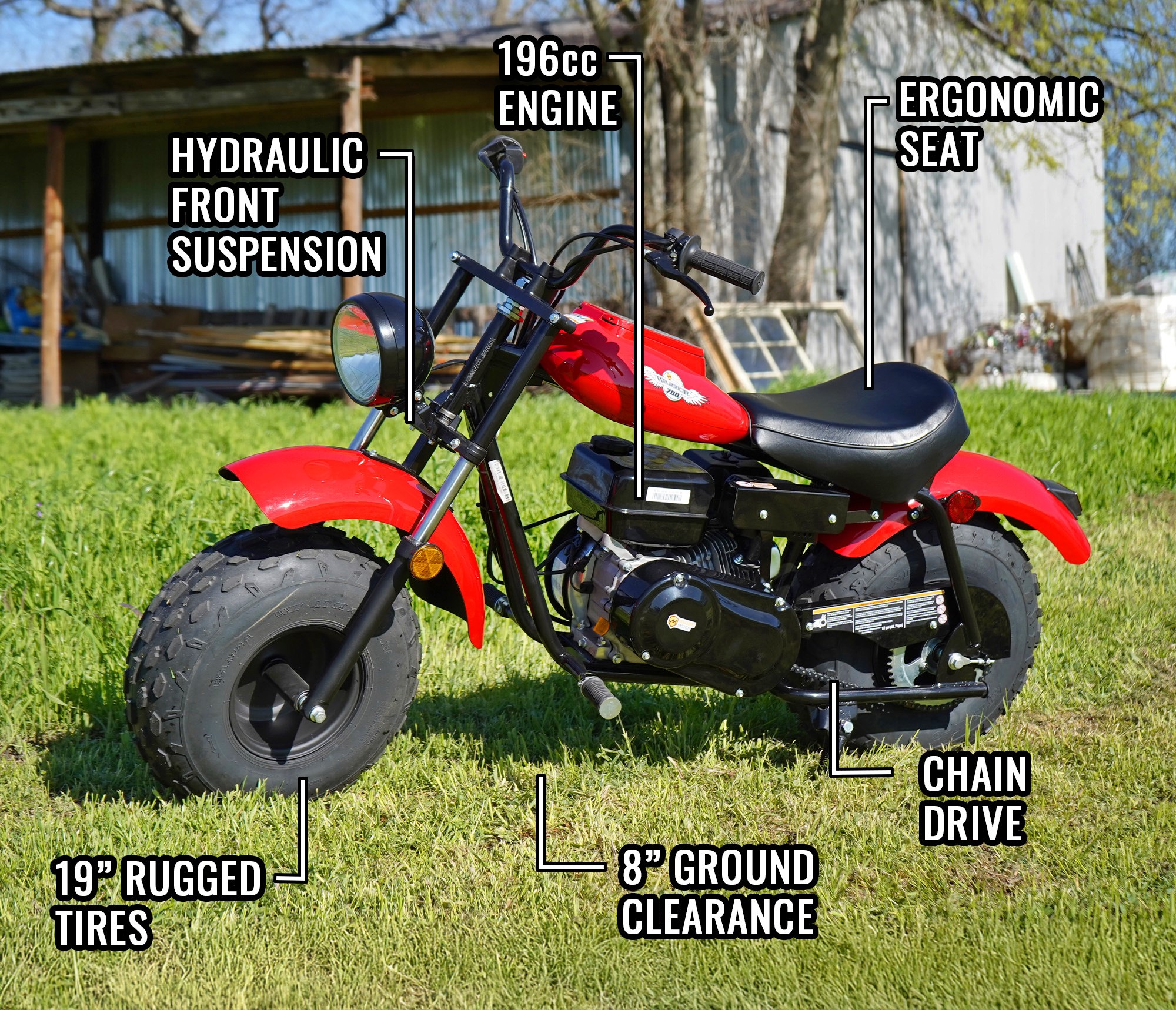 Massimo Y180200713 Dirt-Bikes-Mini-Bikes - View #9