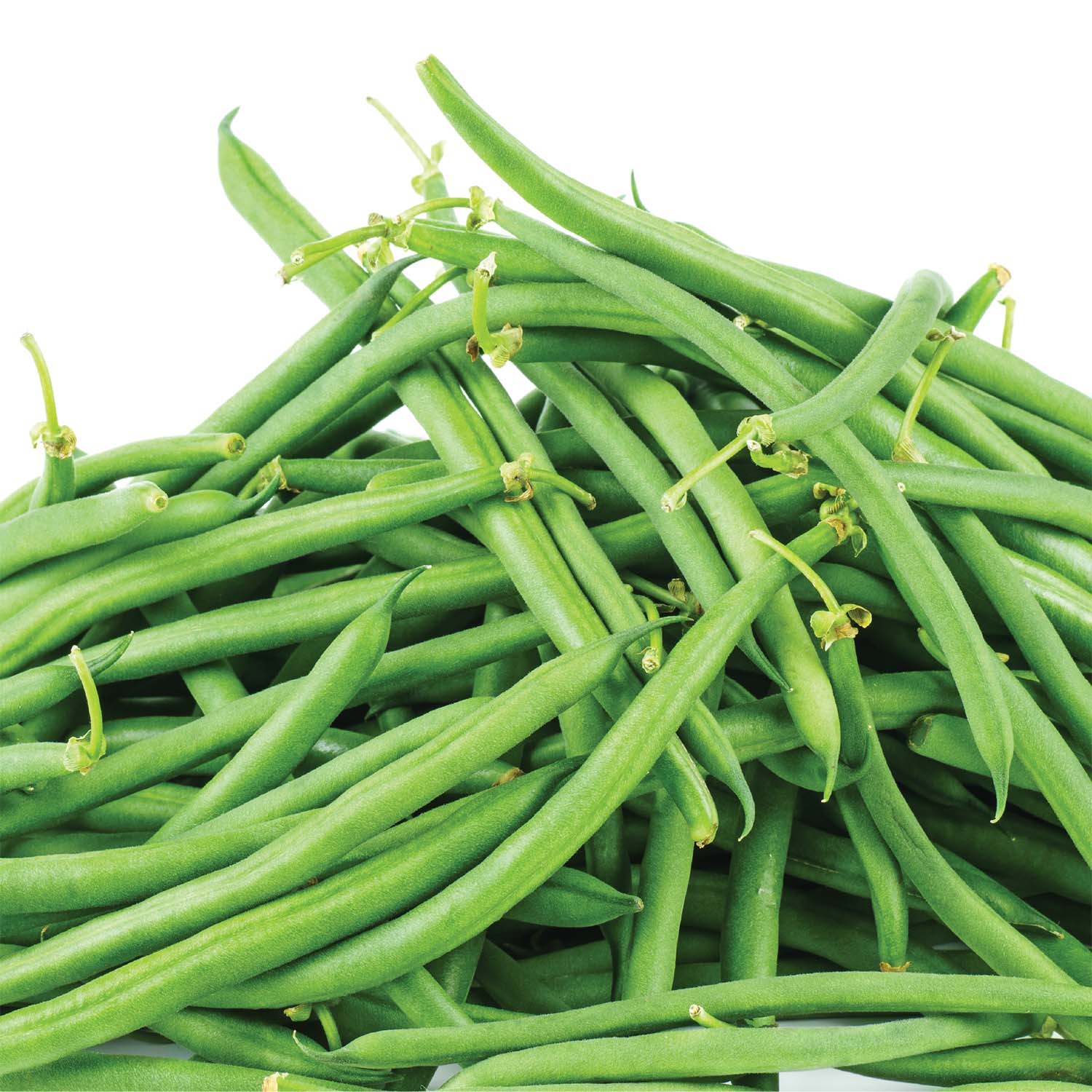 Ferry-Morse LC25.9890 Vegetable-Herb-Seeds - View #3