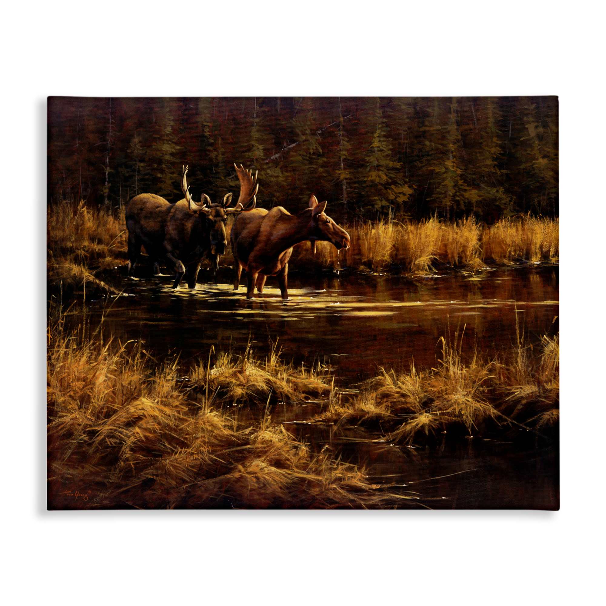 Stupell Industries BT-259-CN-36X48 Moose Pair at Stream Canvas Wall Art By Paco Young 48 x 36