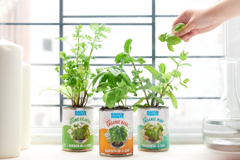 Back to the Roots 22206 Gardening-Kits - View #4