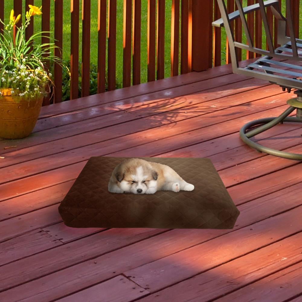 Pet Pal Rectangular Brown Polyester Pillow Dog Bed (Small To Medium) in ...