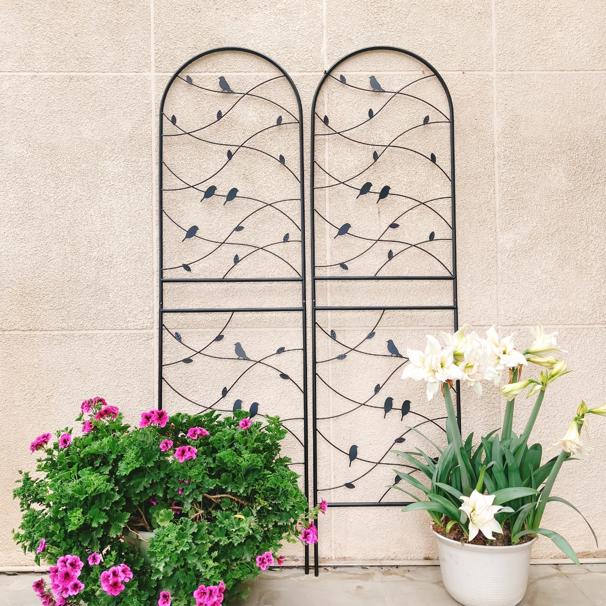 Loheer W1586P268006 Garden-Trellis - View #3
