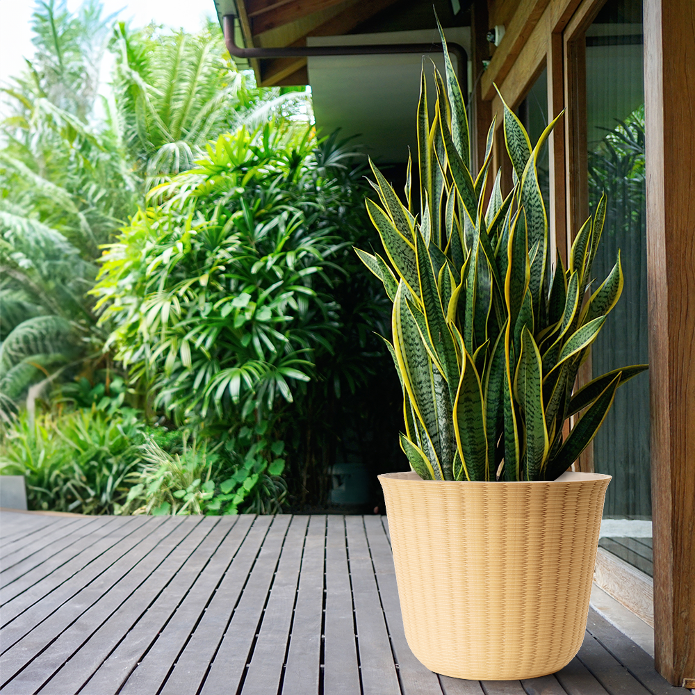 Style Selections DP2151D Planter-Window-Box - View #2