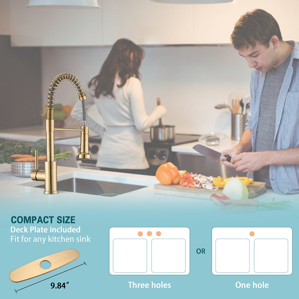 EQLOO EQ-AA289BG Kitchen-Faucets - View #6