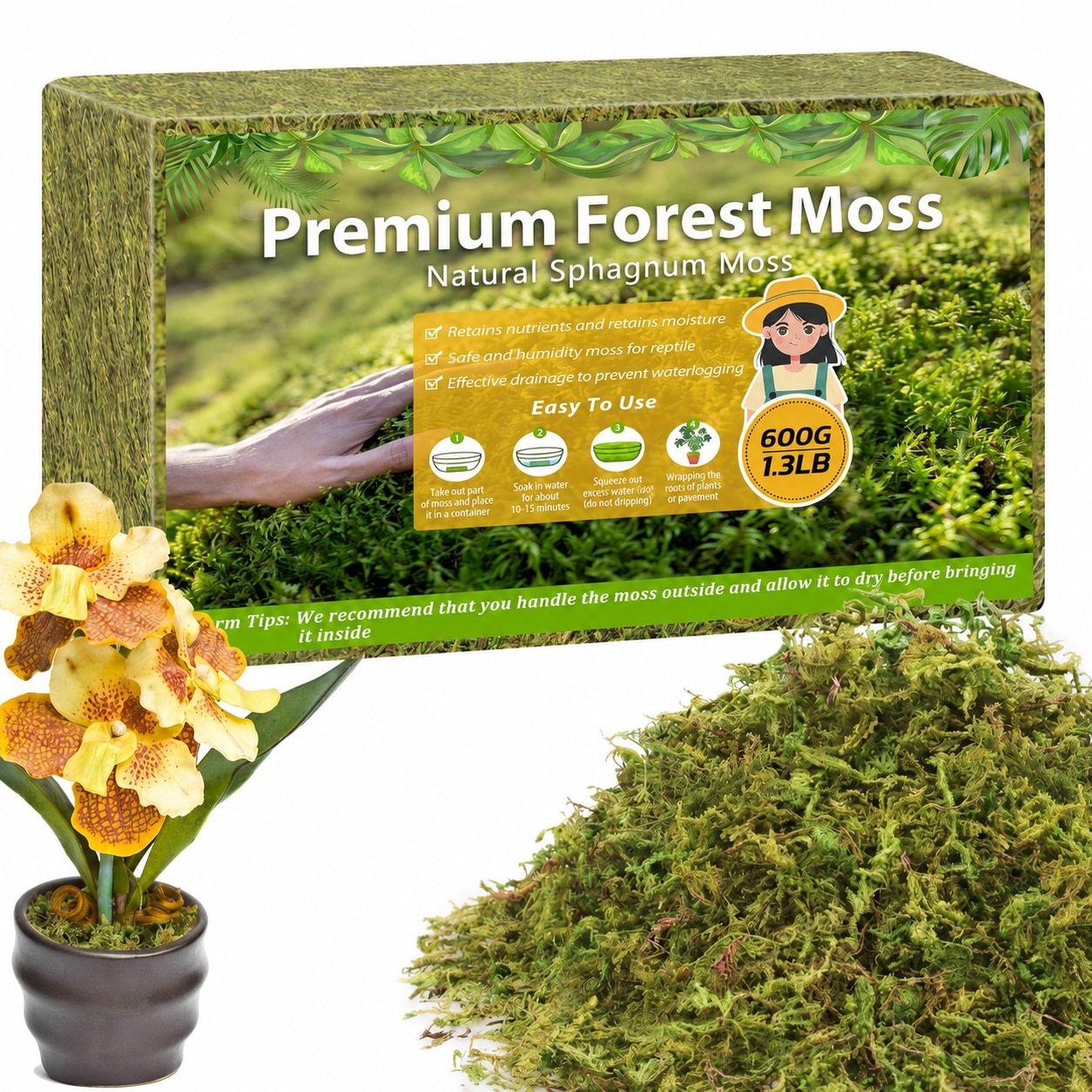 Adrinfly - 1 Piece 1 Point 3 Pounds Forest Moss Natural Green Sphagnum Moss Potting Mix for Orch...