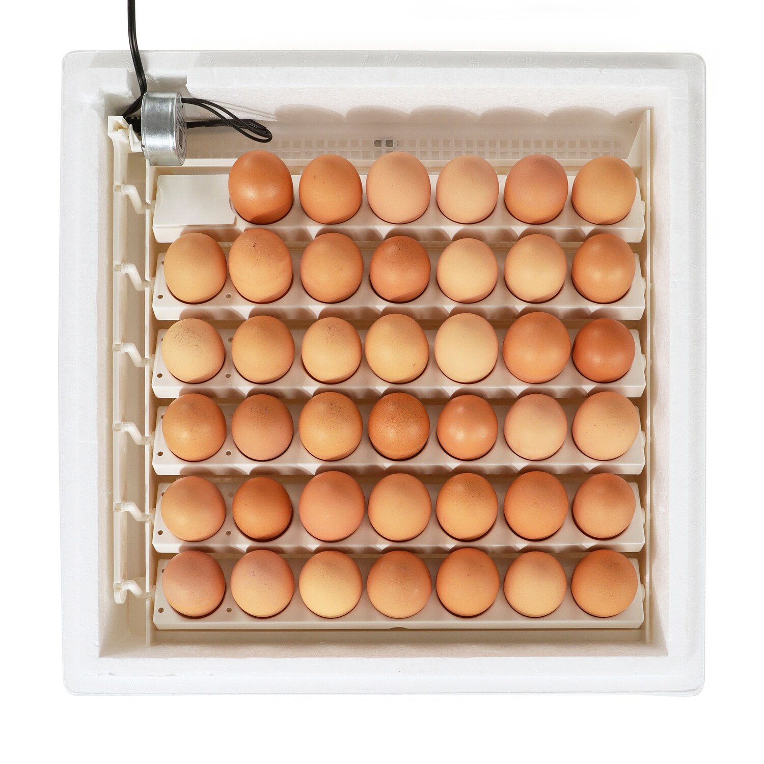 Farm Innovators 273075 Chicken-Coops-Rabbit-Hutches - View #12